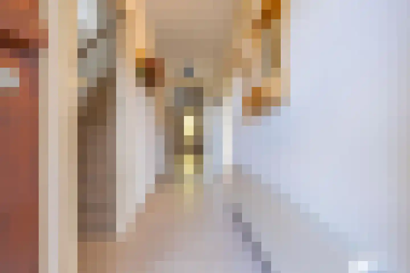 Scheeringlaan 26 Tiel thumbnail 11