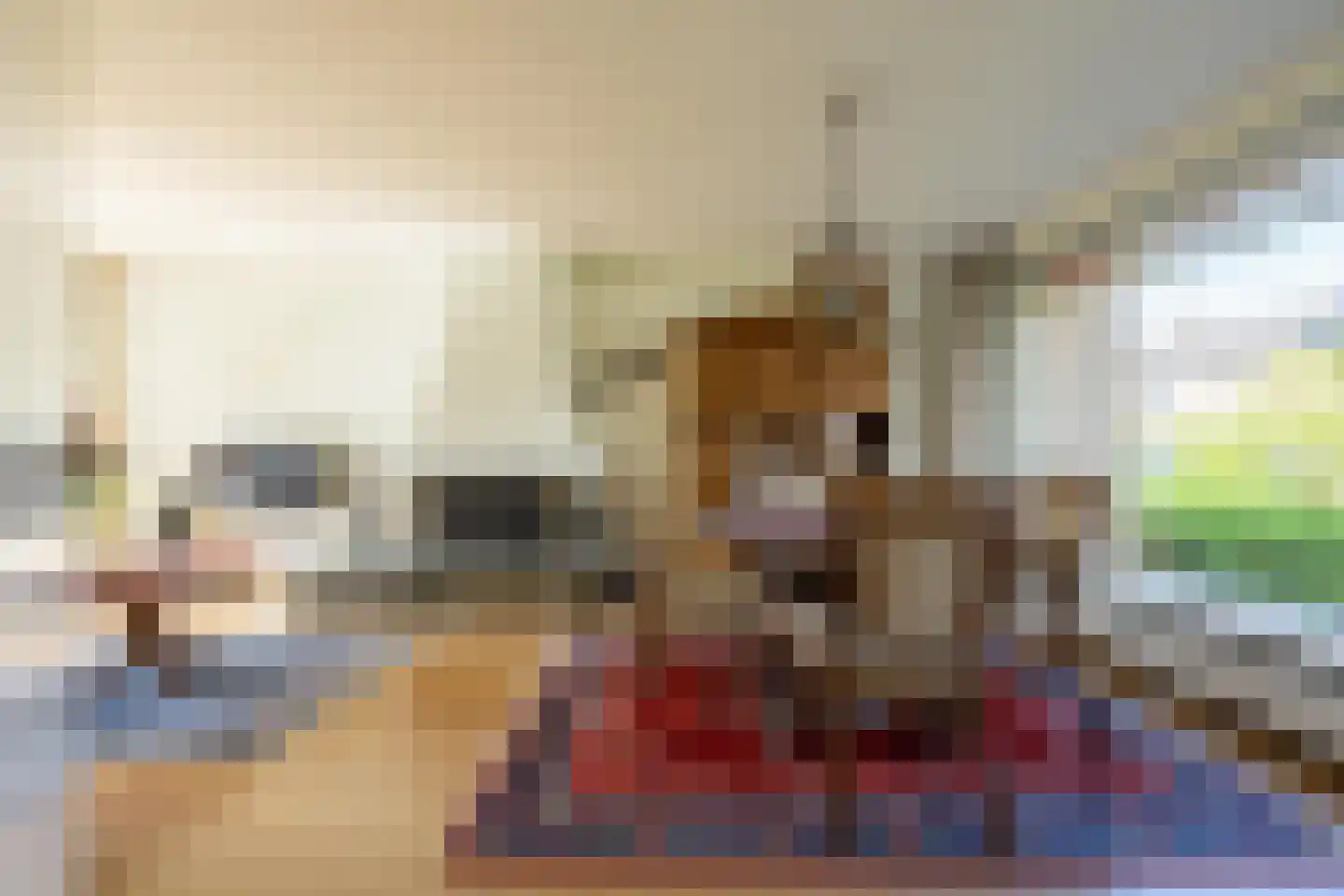 Scheeringlaan 26 Tiel thumbnail 13