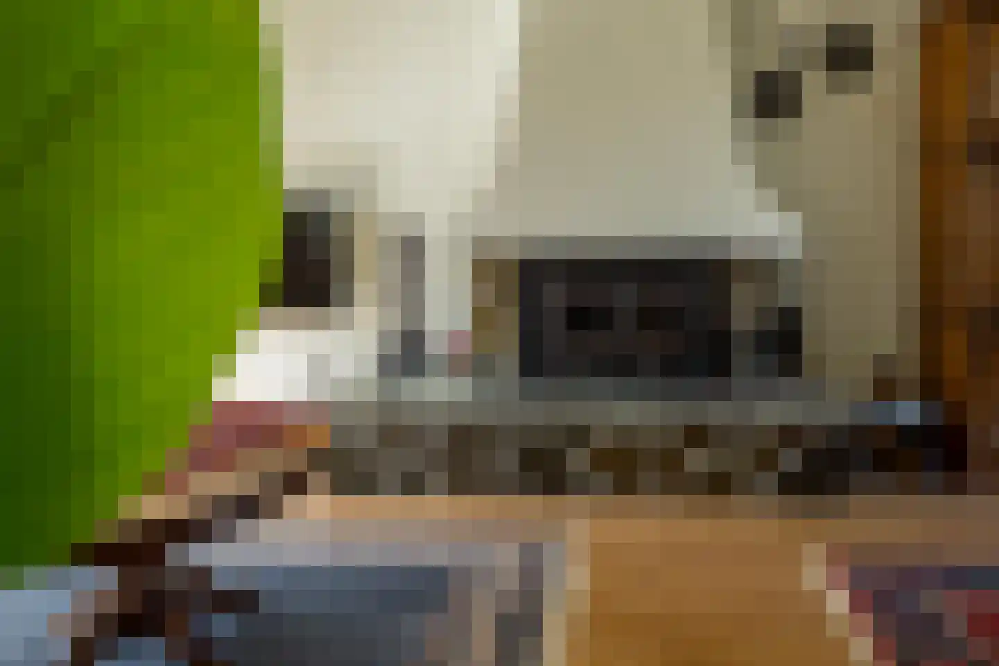 Scheeringlaan 26 Tiel thumbnail 16