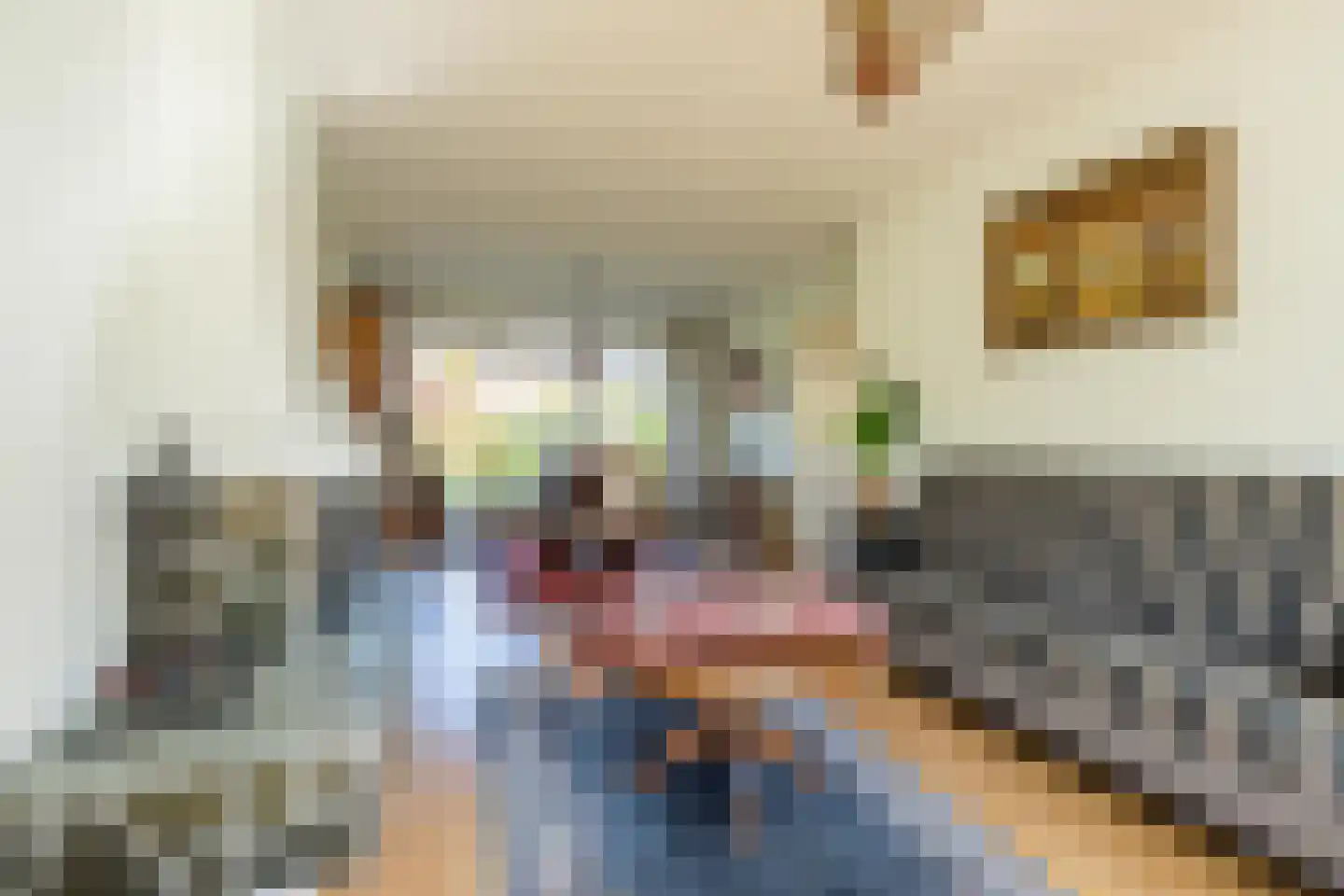 Scheeringlaan 26 Tiel thumbnail 17