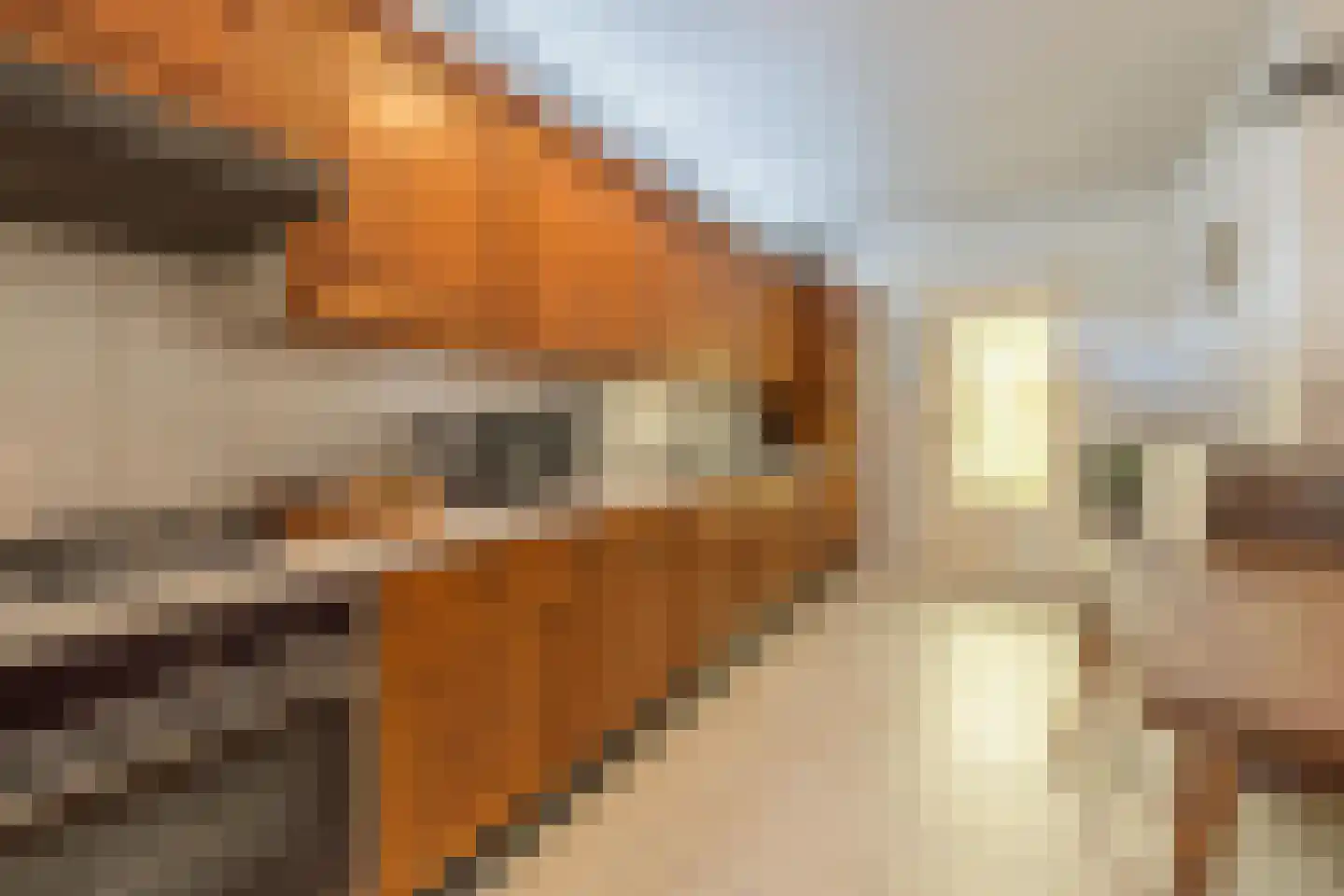 Scheeringlaan 26 Tiel thumbnail 20