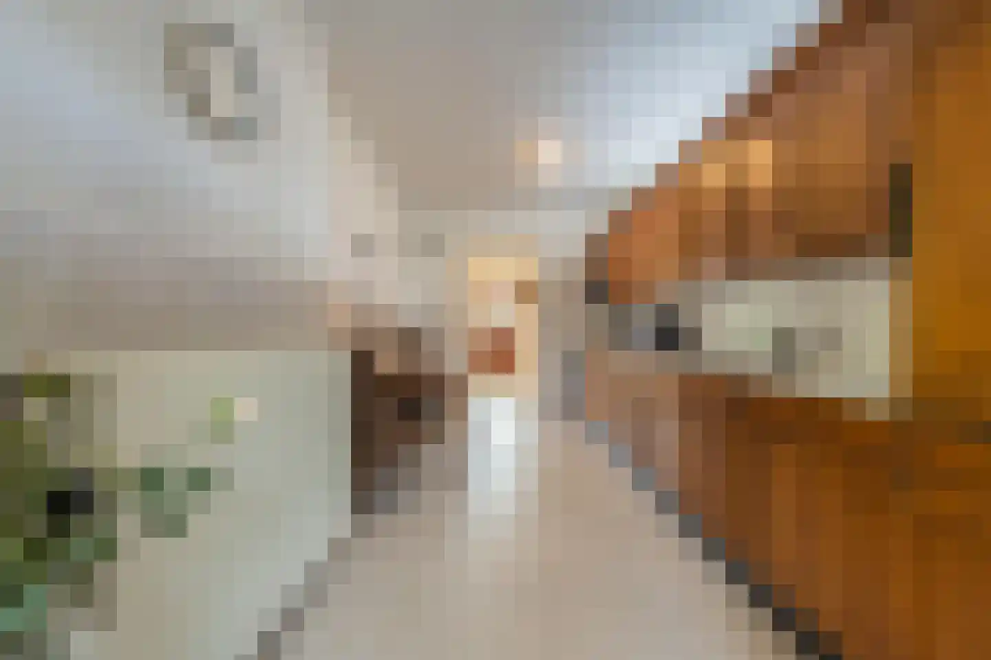Scheeringlaan 26 Tiel thumbnail 21