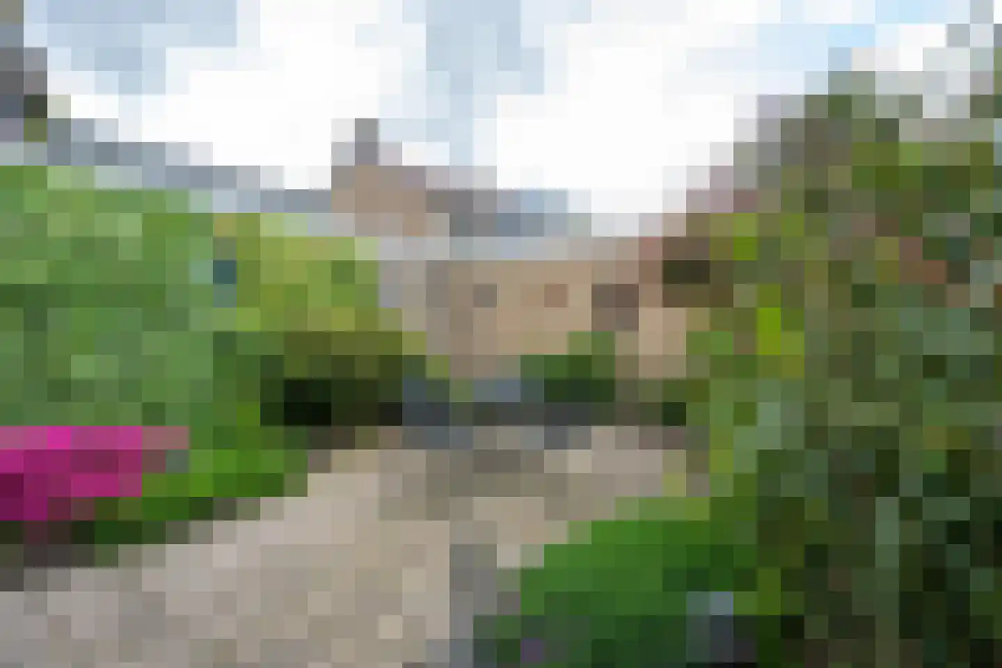 Scheeringlaan 26 Tiel thumbnail 27