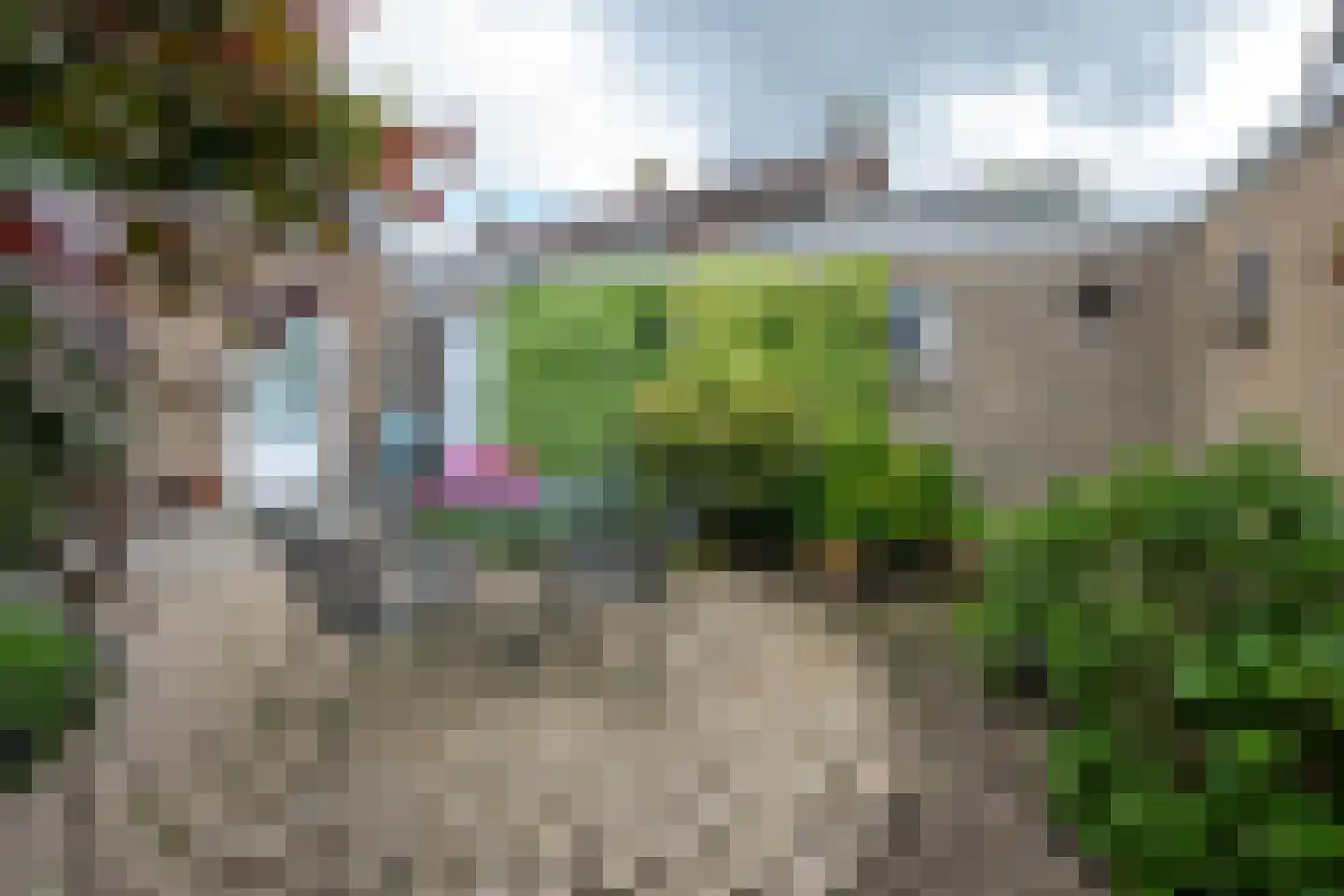 Scheeringlaan 26 Tiel thumbnail 28