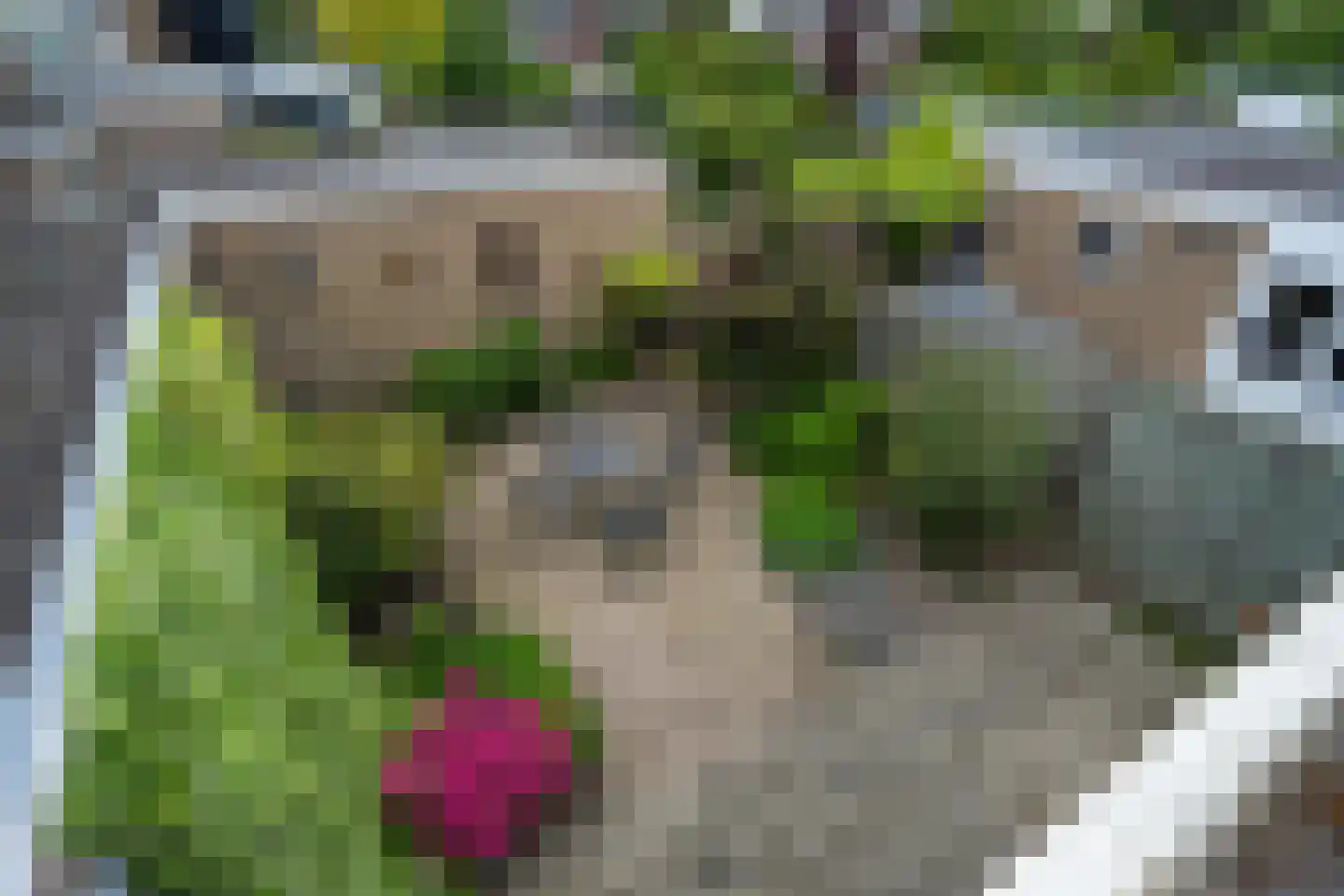 Scheeringlaan 26 Tiel thumbnail 37