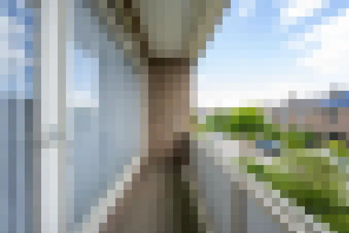 Scheeringlaan 26 Tiel thumbnail 41