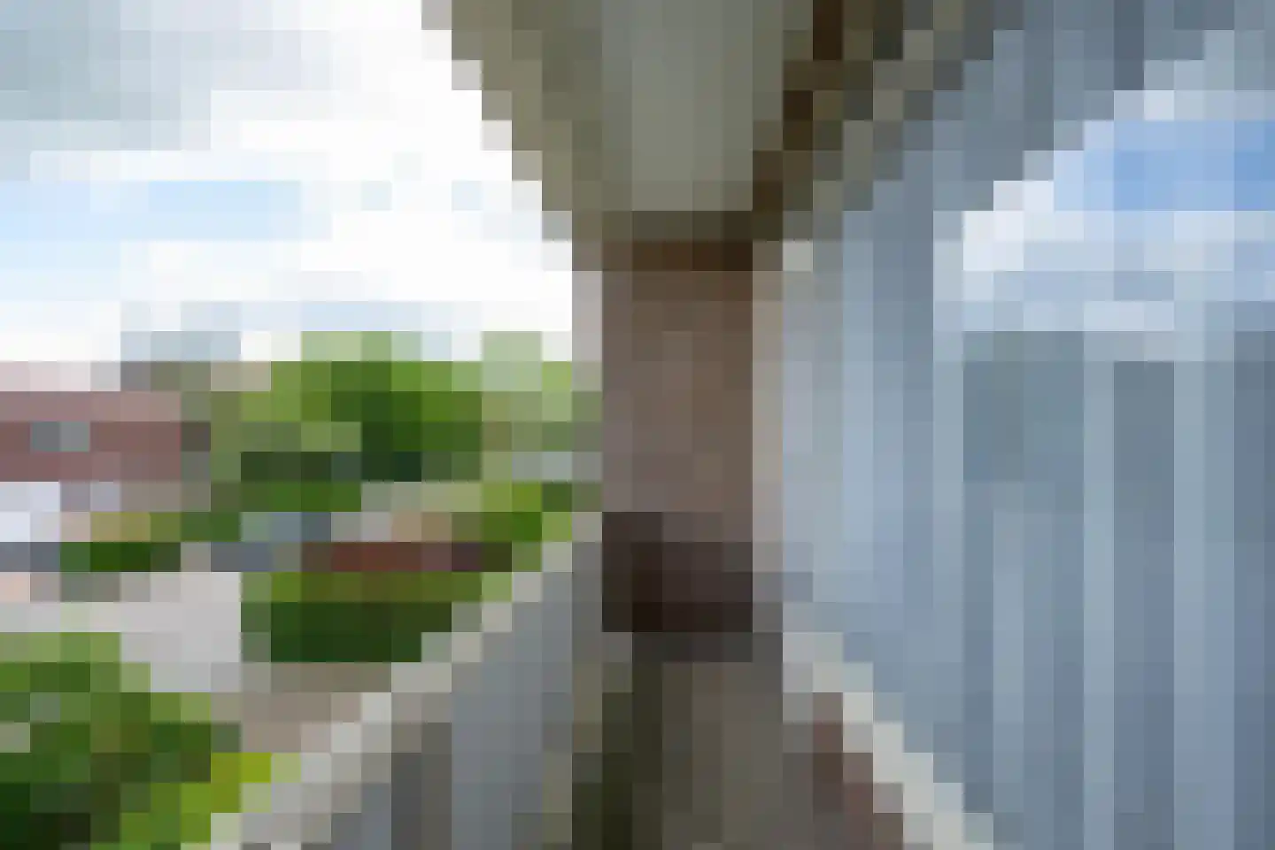 Scheeringlaan 26 Tiel thumbnail 42