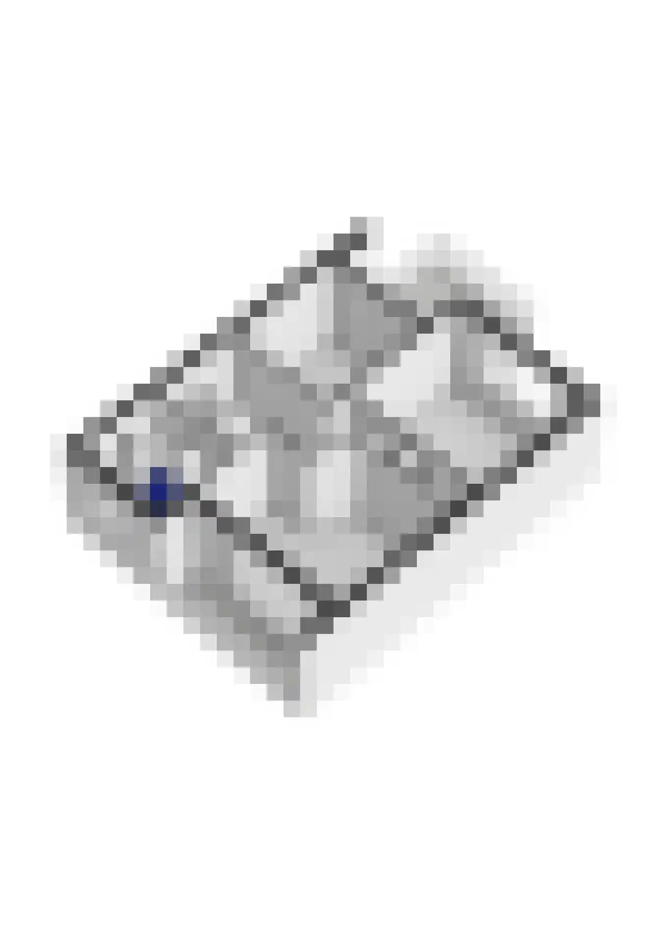 Scheeringlaan 26 Tiel thumbnail 51