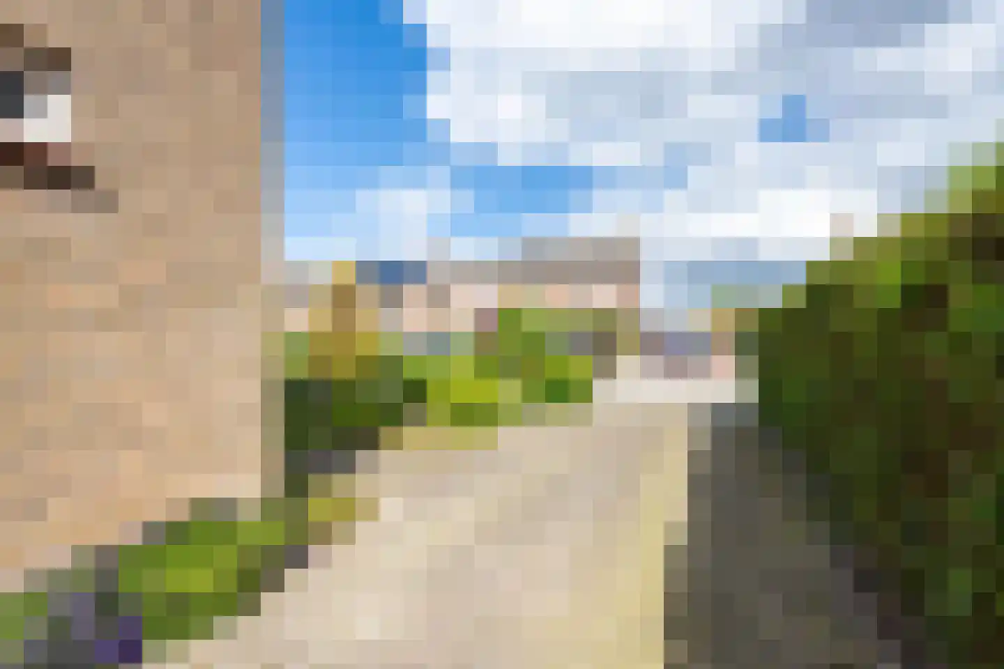 Scheeringlaan 26 Tiel thumbnail 8