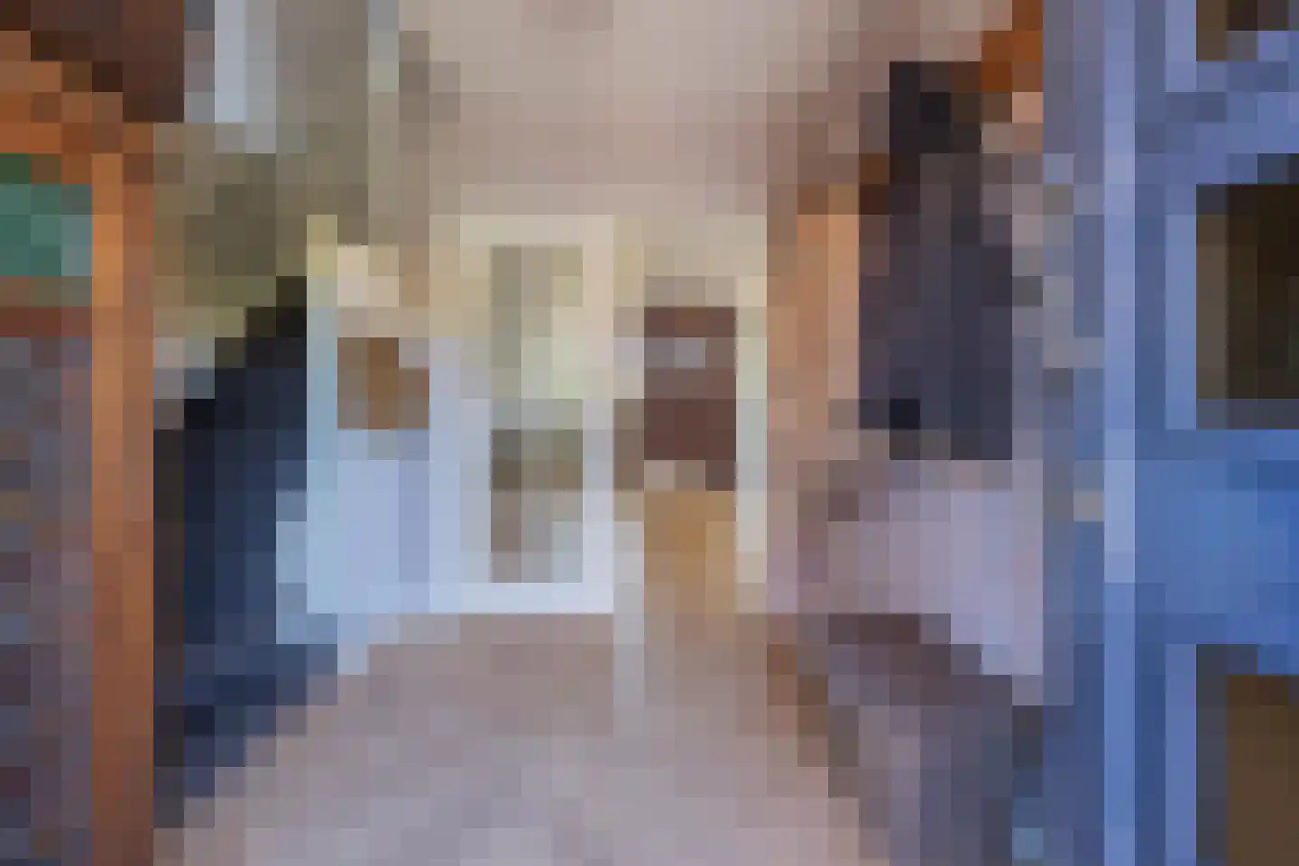 Scheeringlaan 33 Tiel thumbnail 11