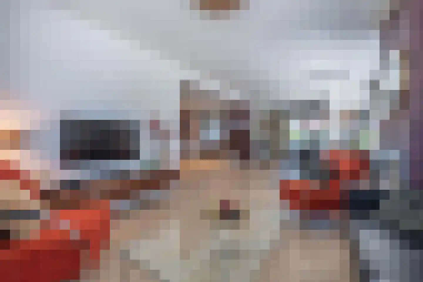Scheeringlaan 33 Tiel thumbnail 18