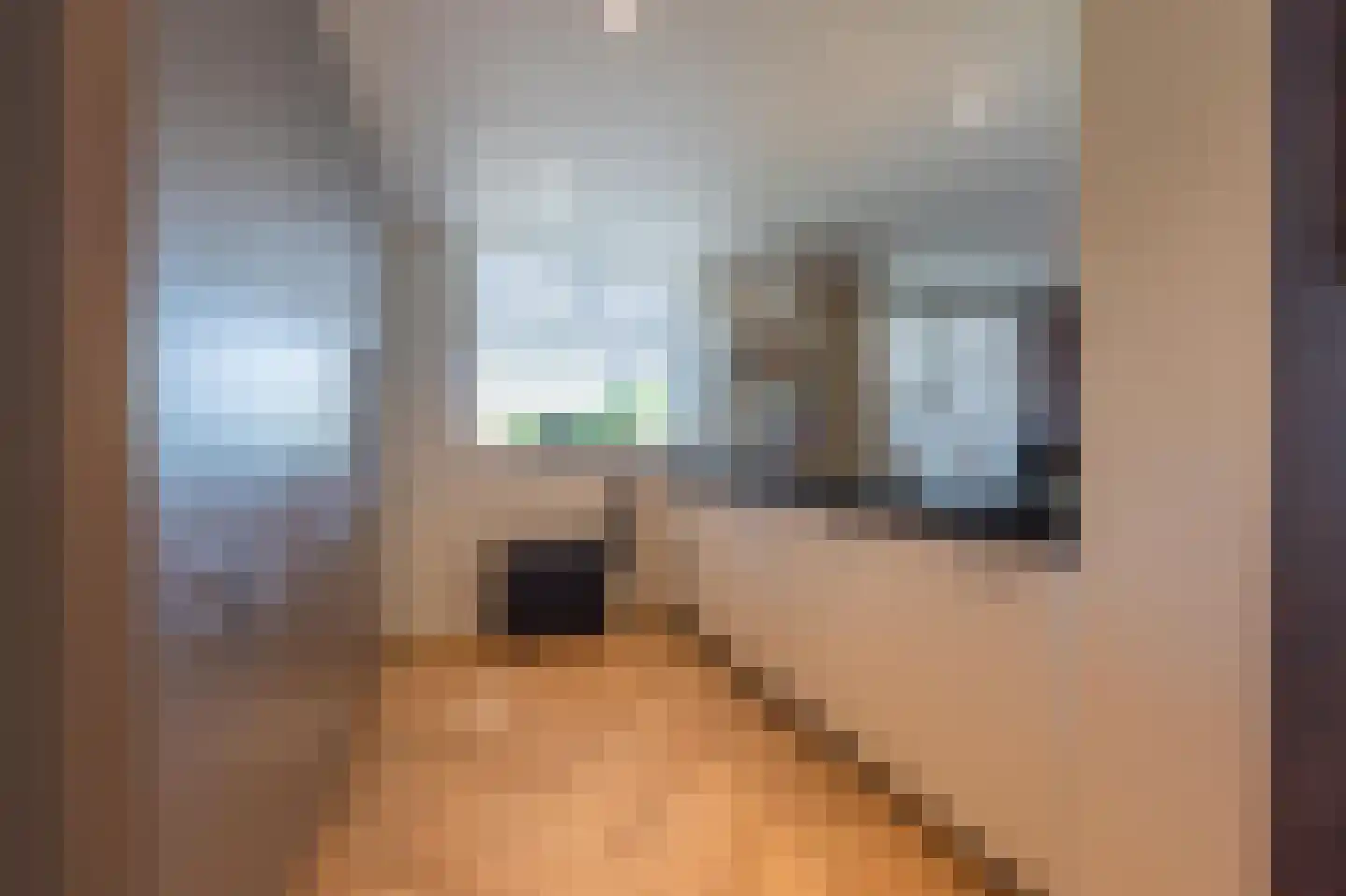 Scheeringlaan 33 Tiel thumbnail 22
