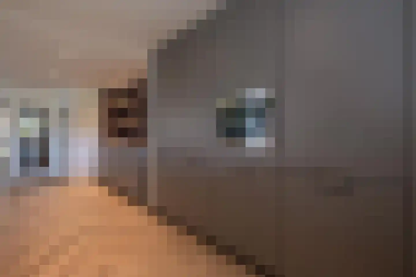Scheeringlaan 33 Tiel thumbnail 26