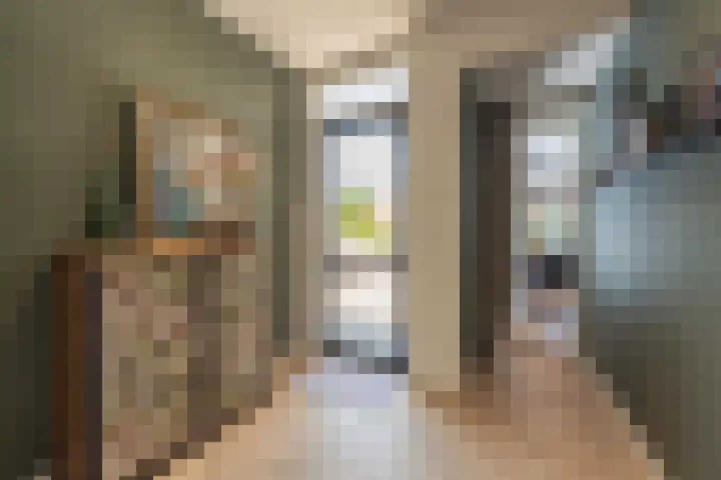 Scheeringlaan 33 Tiel thumbnail 29