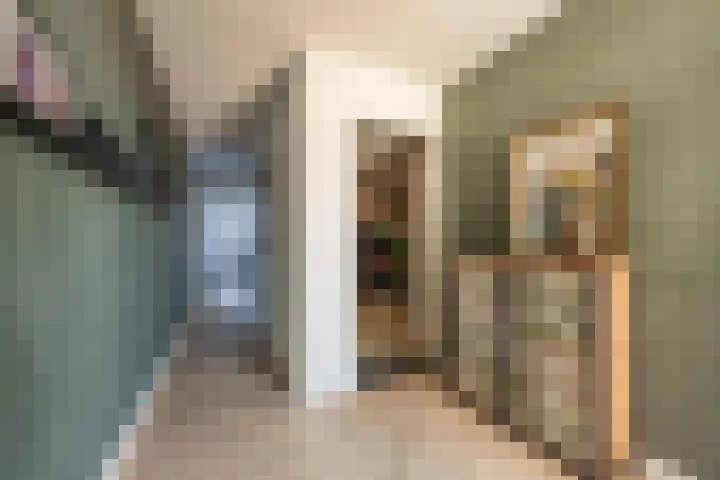 Scheeringlaan 33 Tiel thumbnail 30