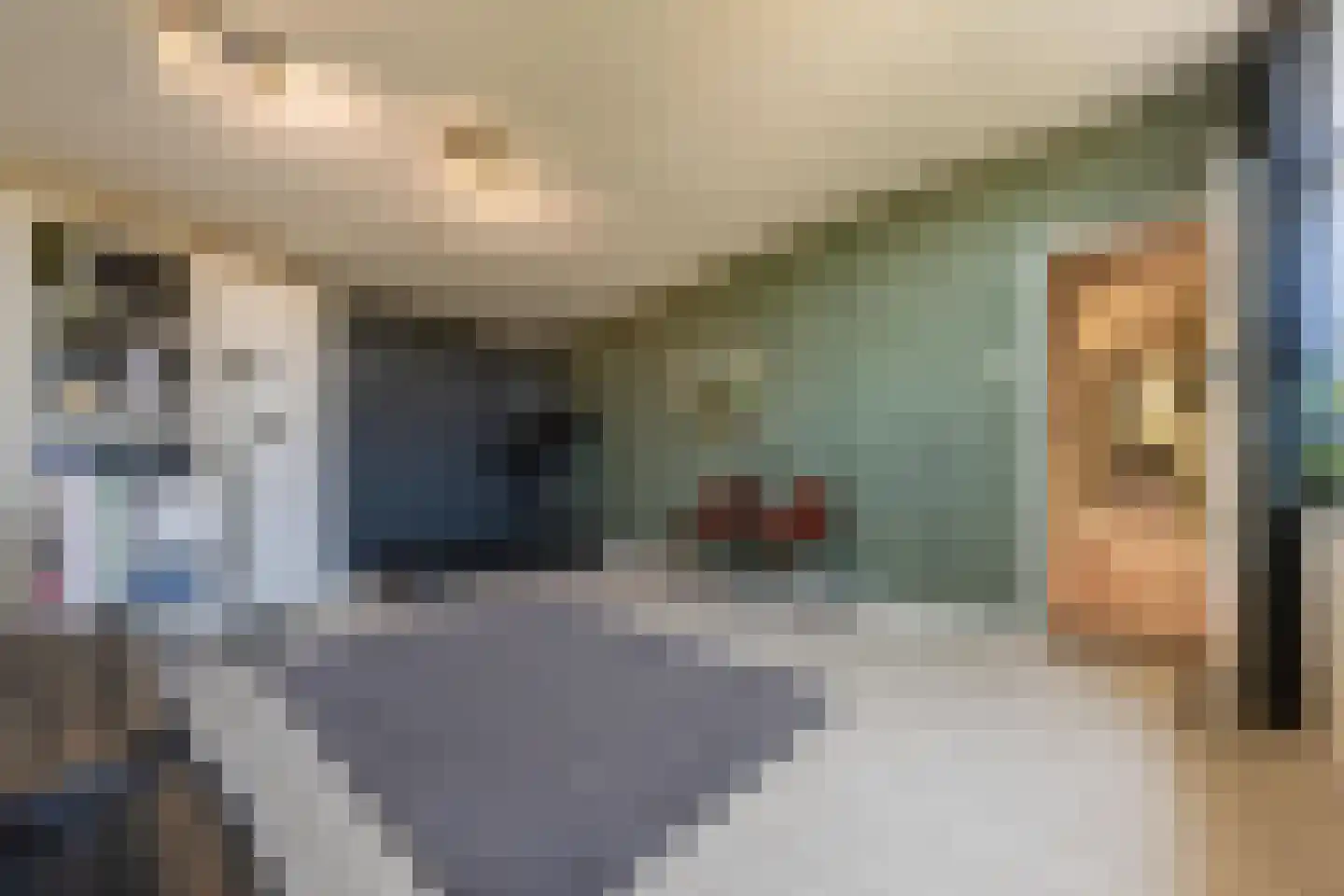 Scheeringlaan 33 Tiel thumbnail 31