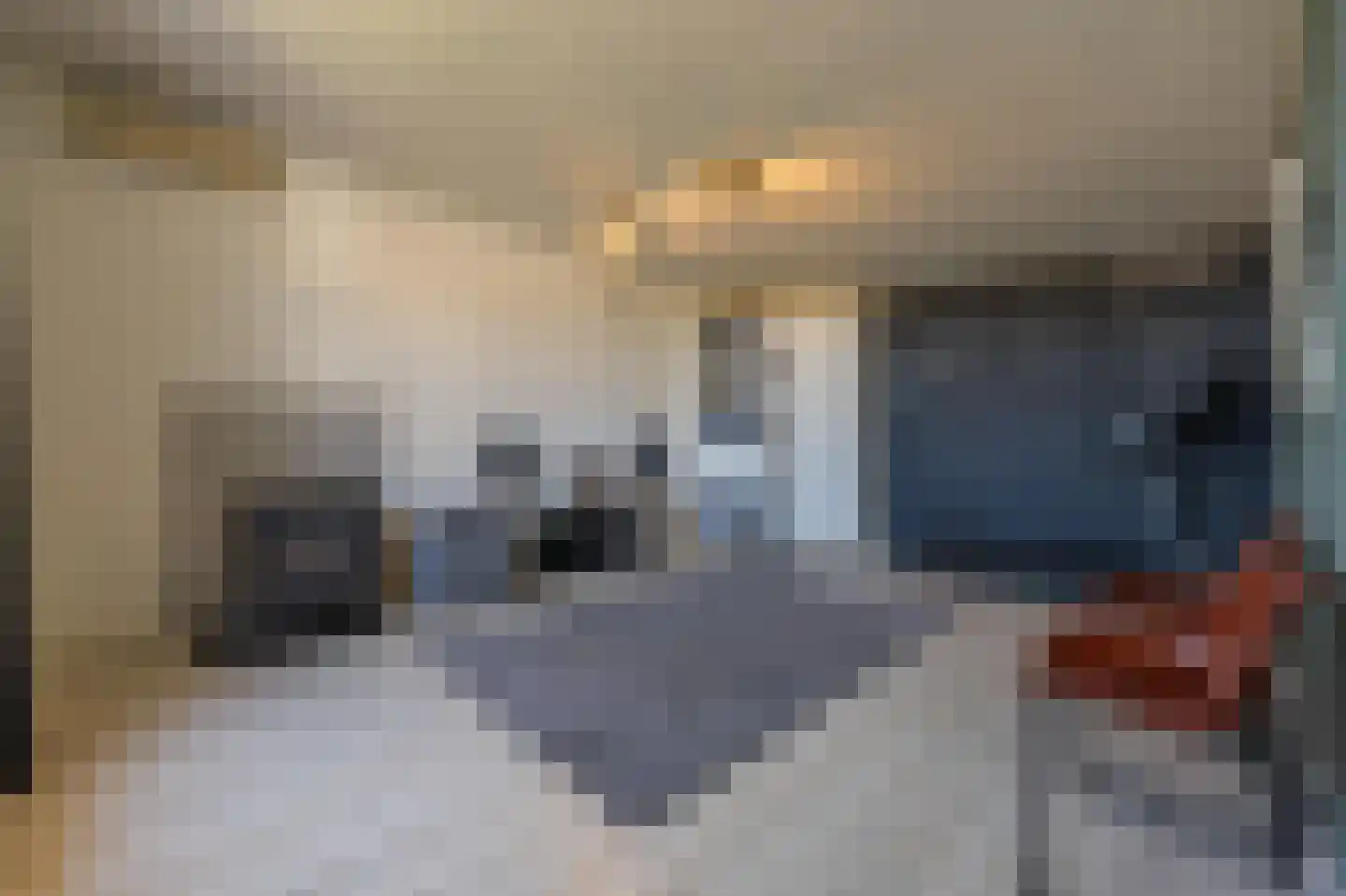 Scheeringlaan 33 Tiel thumbnail 32