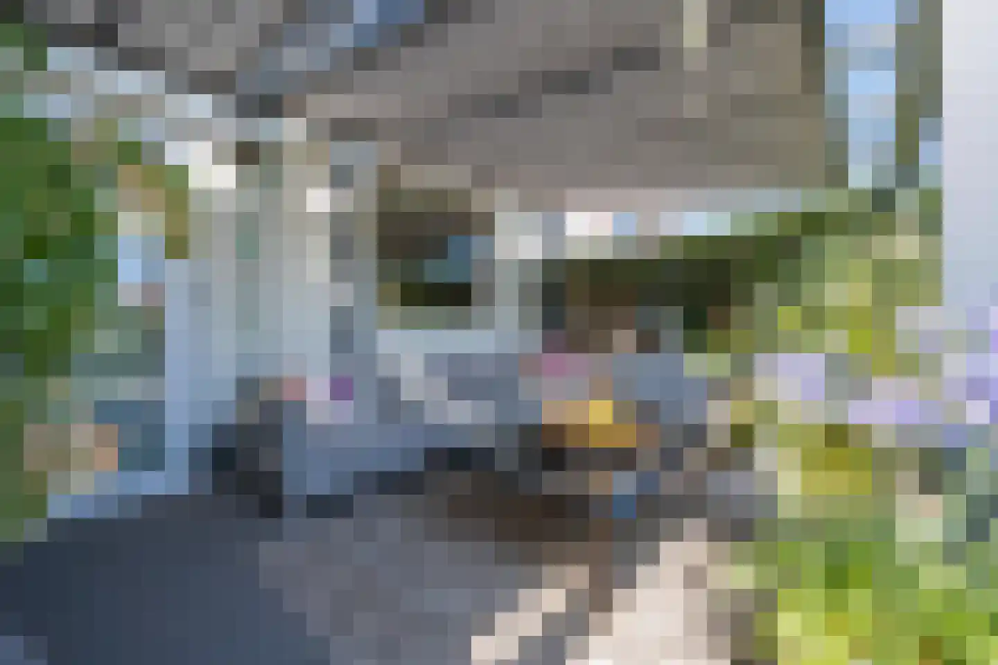 Scheeringlaan 33 Tiel thumbnail 34