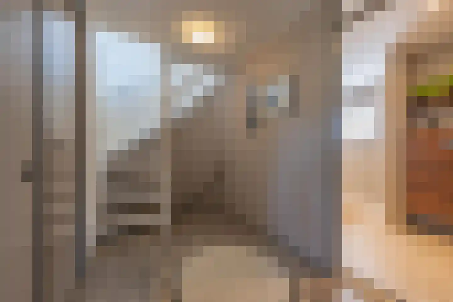 Scheeringlaan 33 Tiel thumbnail 46