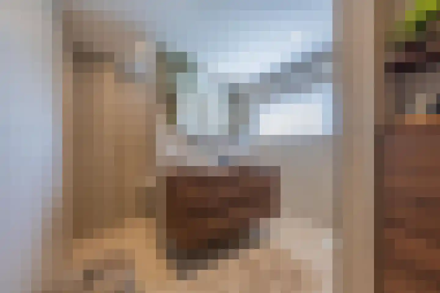 Scheeringlaan 33 Tiel thumbnail 47