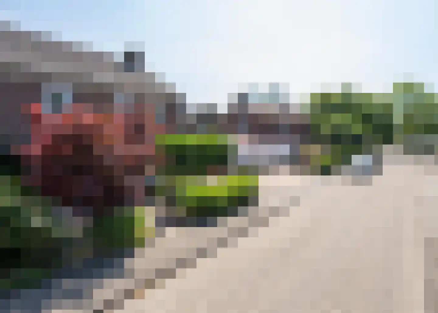 Scheeringlaan 33 Tiel thumbnail 5