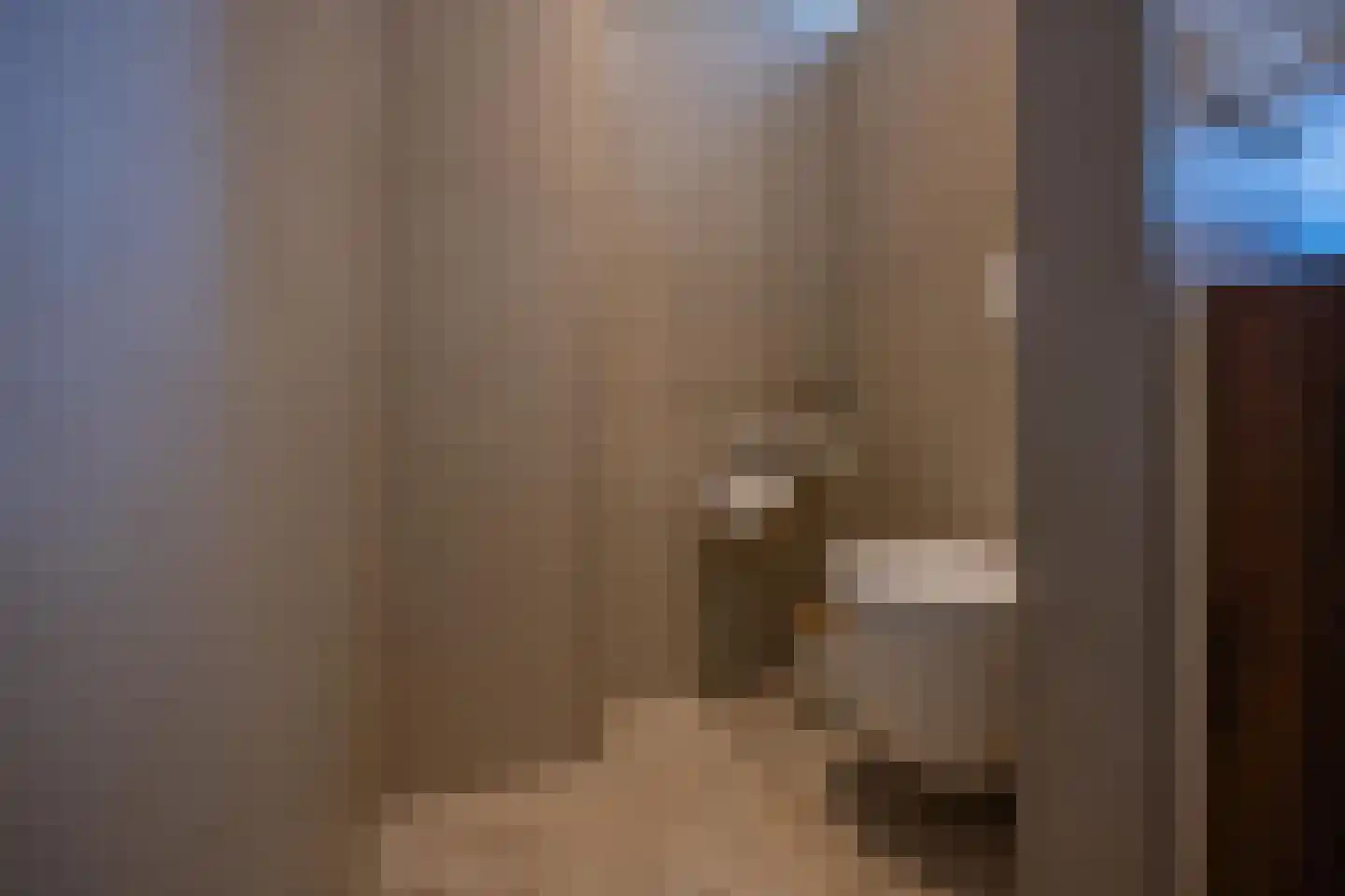 Scheeringlaan 33 Tiel thumbnail 51