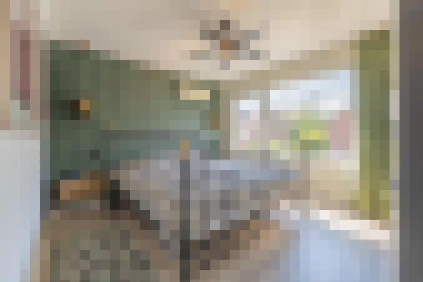 Scheeringlaan 33 Tiel thumbnail 57