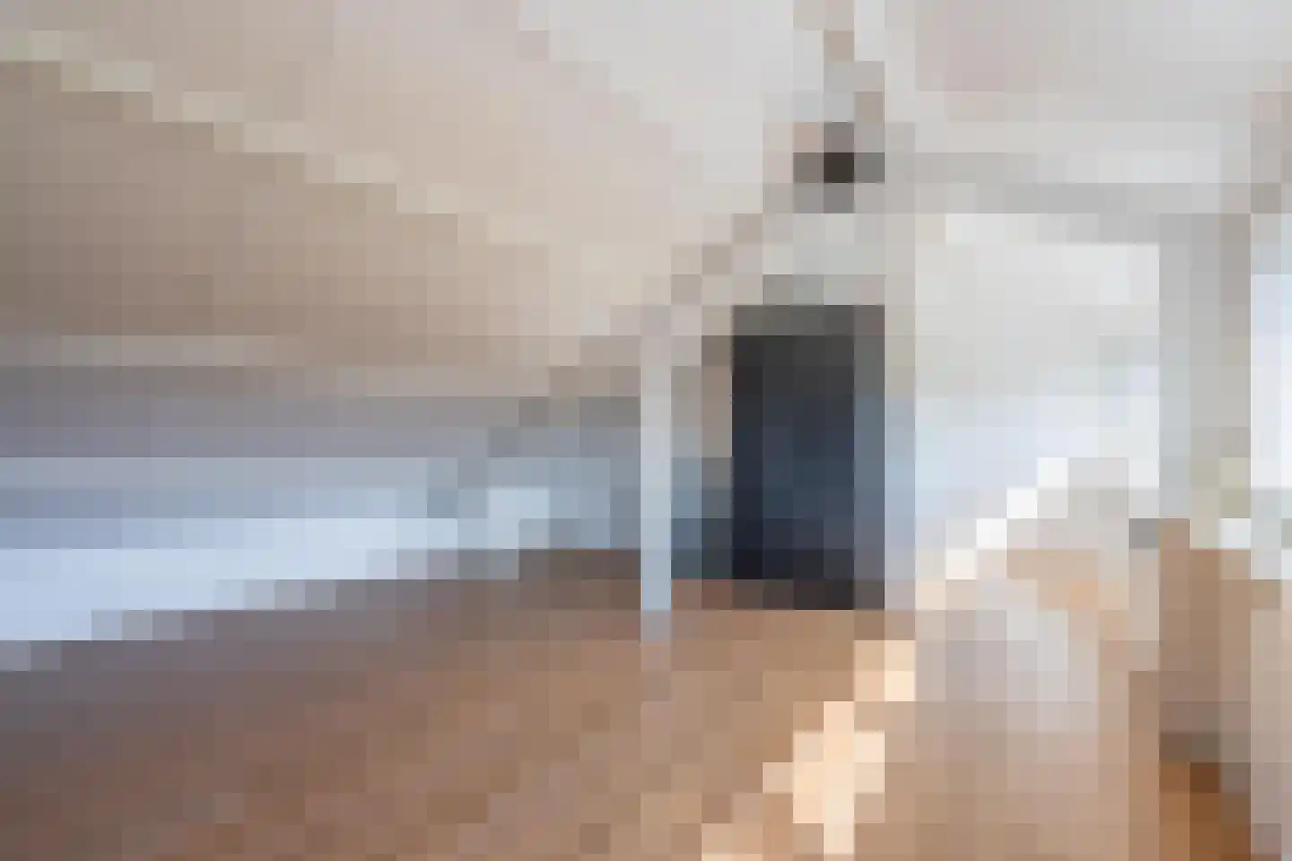 Scheeringlaan 33 Tiel thumbnail 66