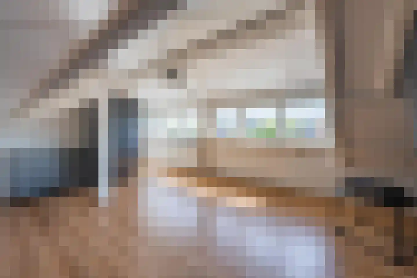 Scheeringlaan 33 Tiel thumbnail 67