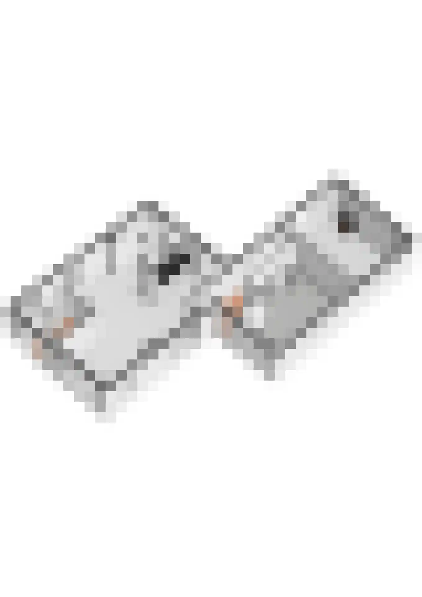 Scheeringlaan 33 Tiel thumbnail 71