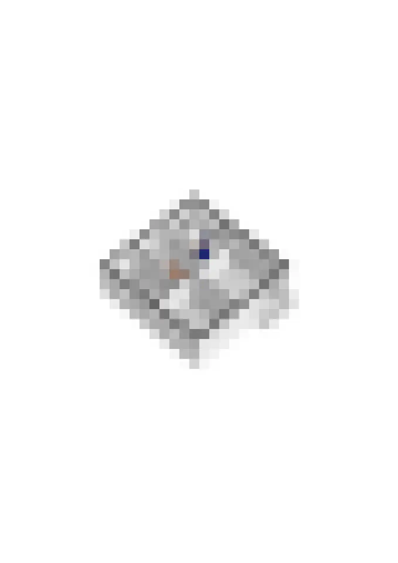 Scheeringlaan 33 Tiel thumbnail 73