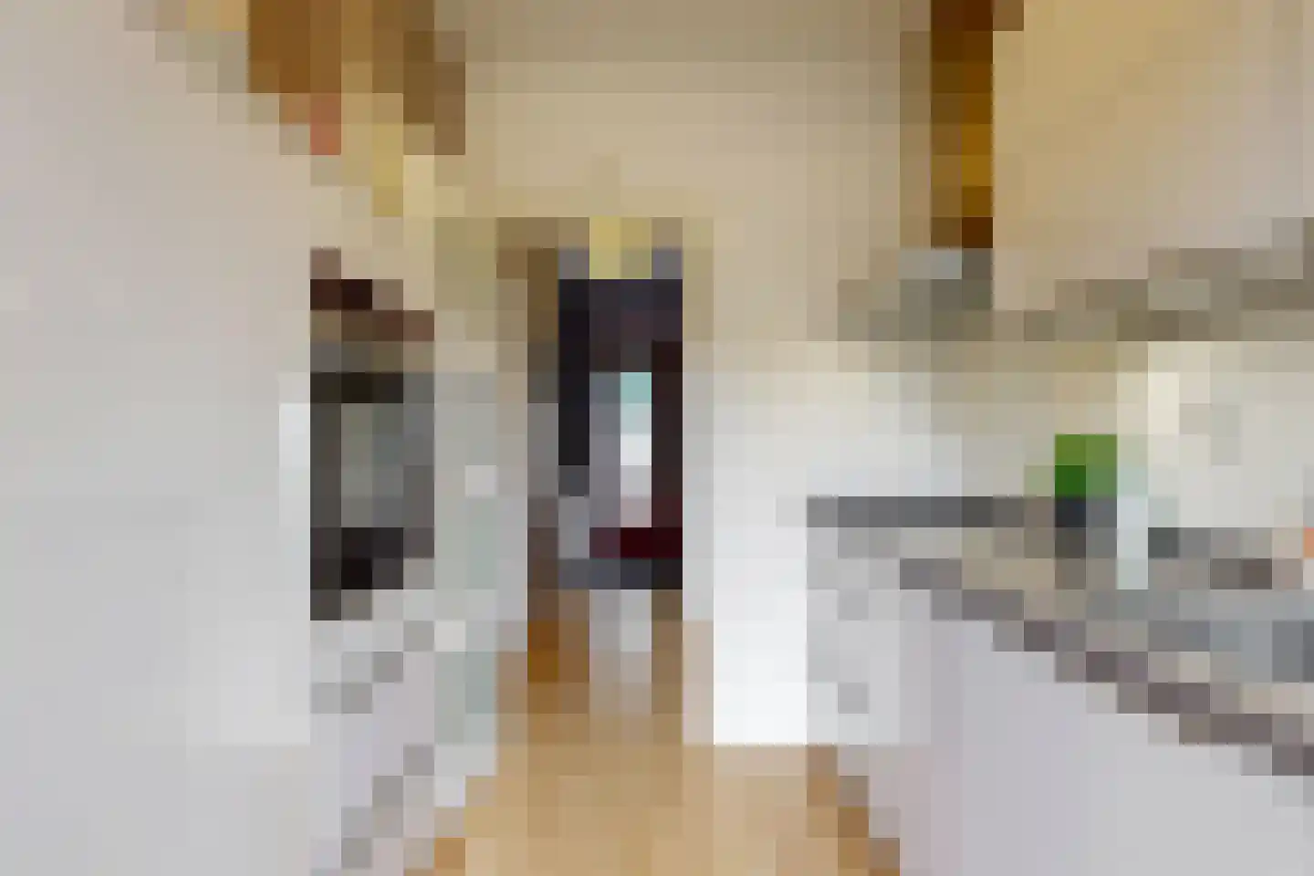 Scheeringlaan 7 Tiel thumbnail 15