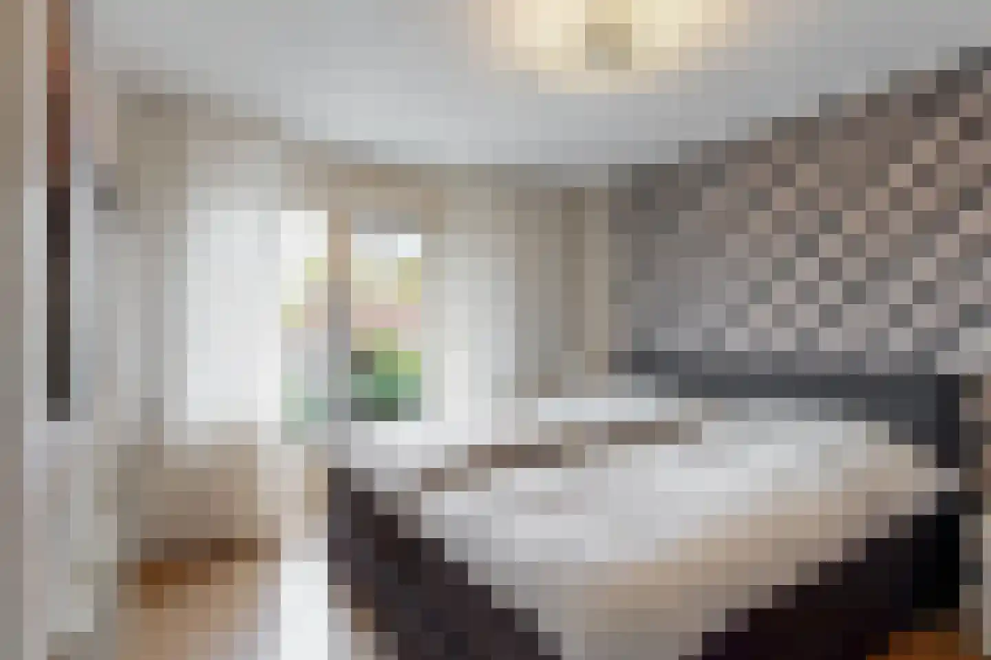 Scheeringlaan 7 Tiel thumbnail 20