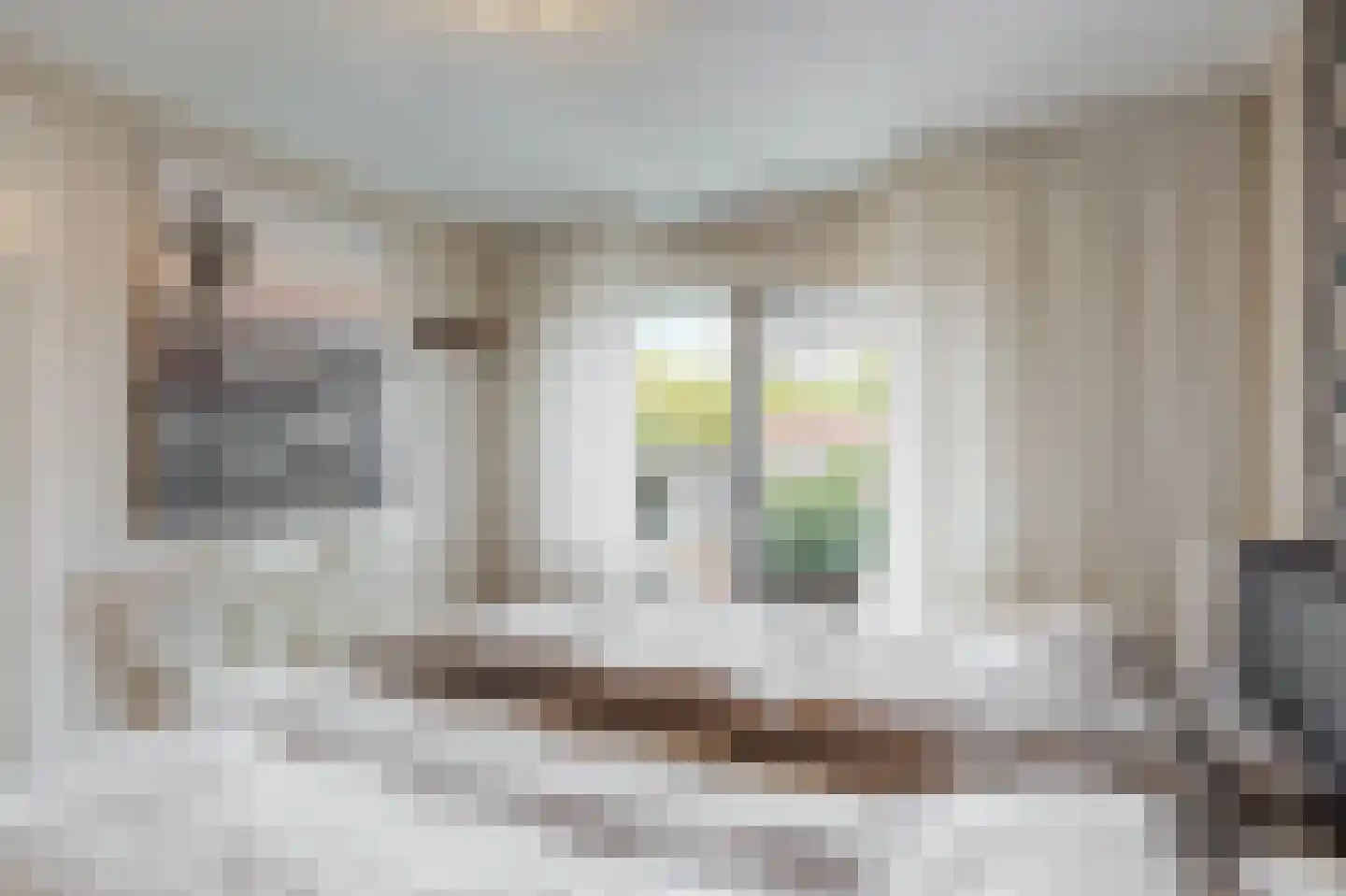 Scheeringlaan 7 Tiel thumbnail 23