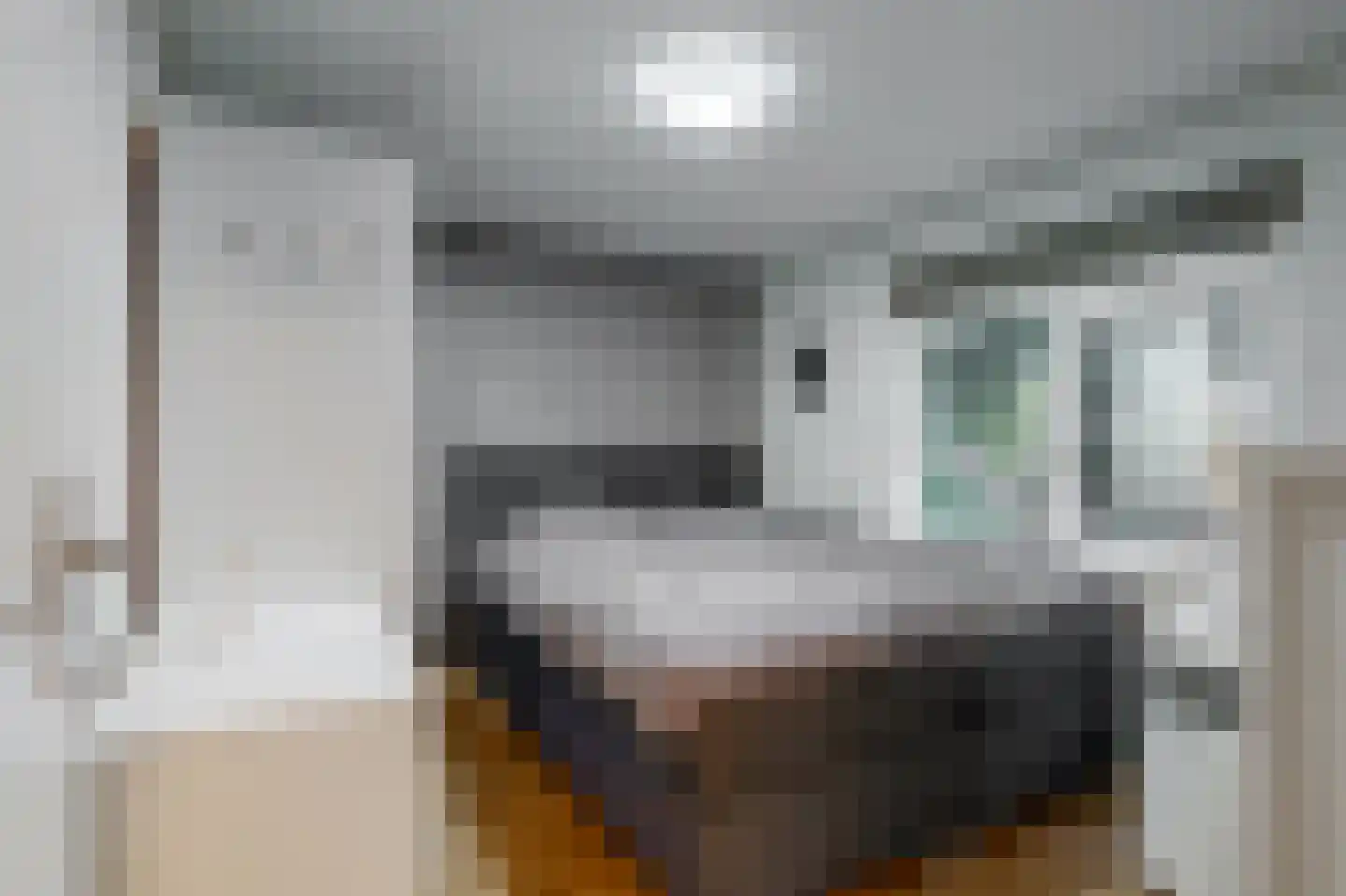 Scheeringlaan 7 Tiel thumbnail 26