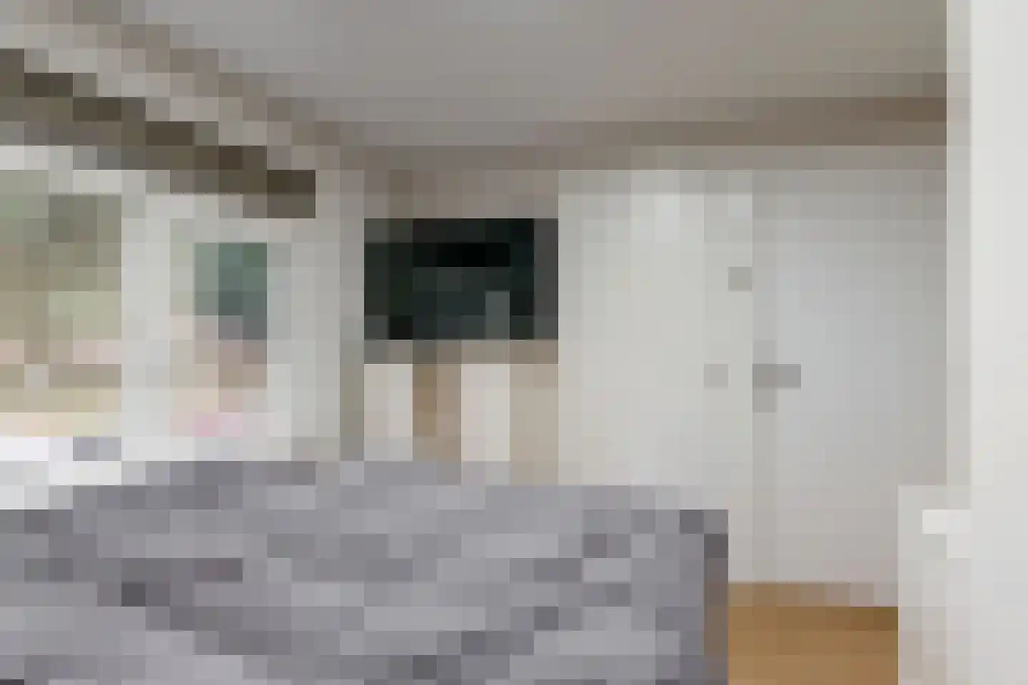 Scheeringlaan 7 Tiel thumbnail 27