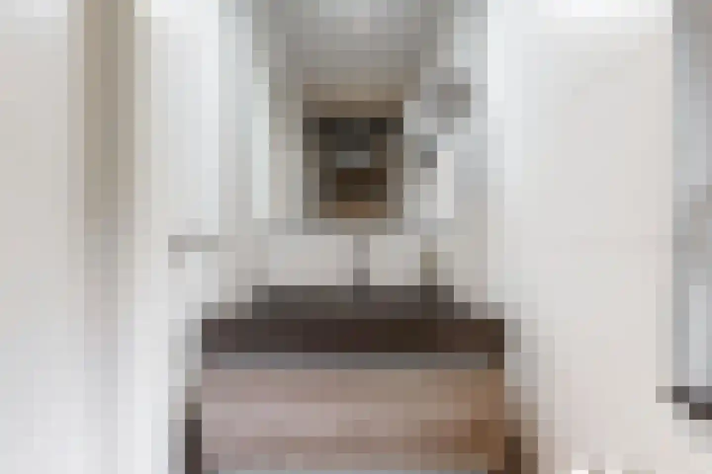 Scheeringlaan 7 Tiel thumbnail 28