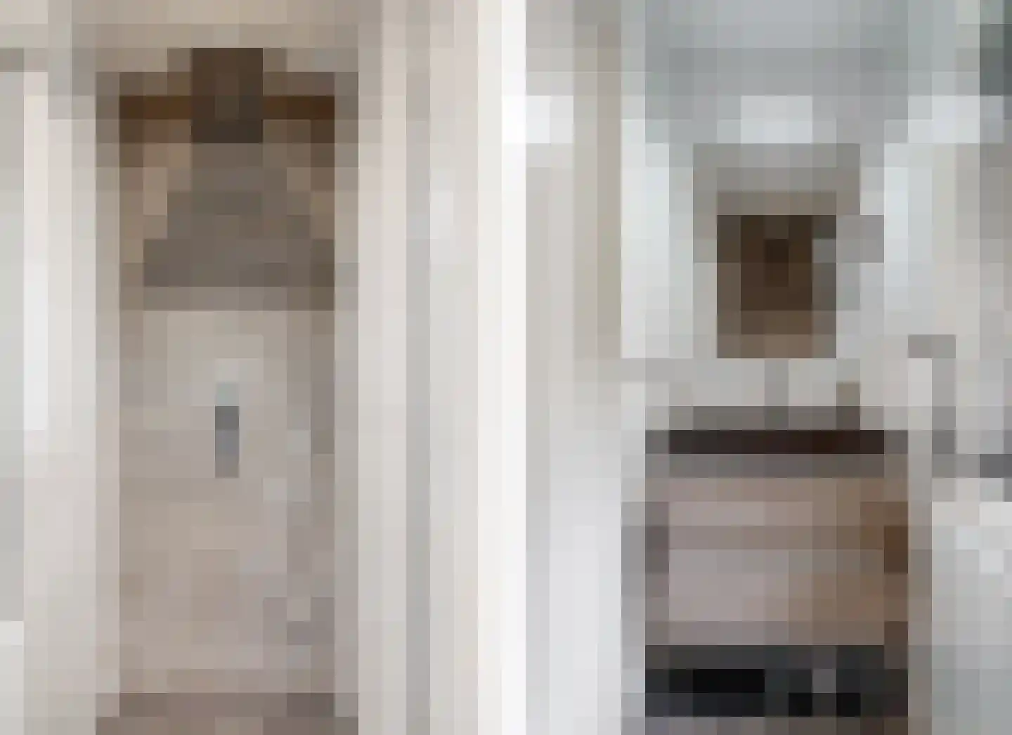 Scheeringlaan 7 Tiel thumbnail 29