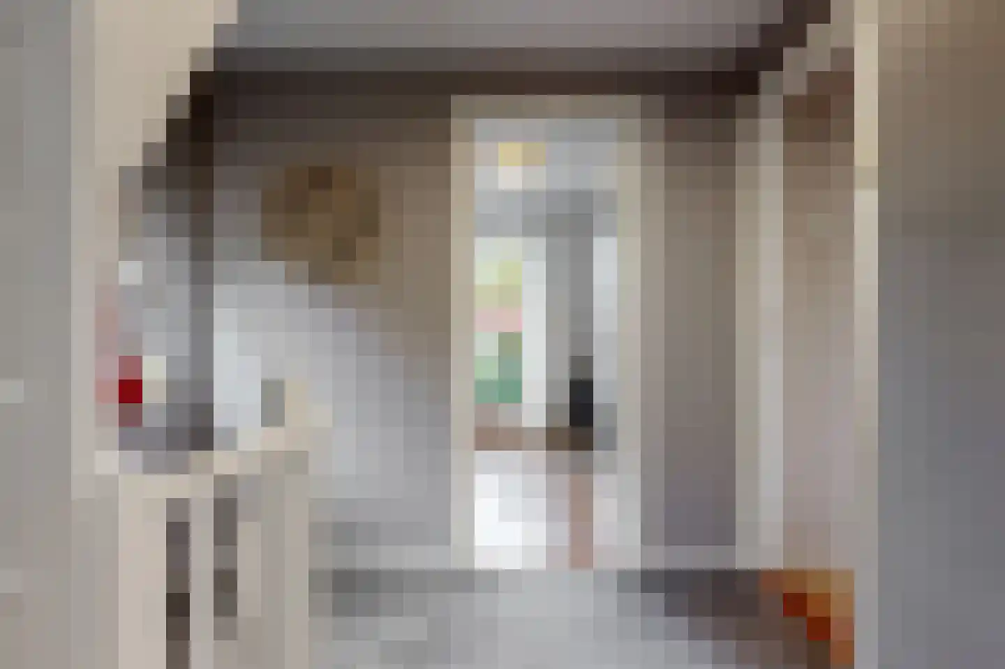 Scheeringlaan 7 Tiel thumbnail 31