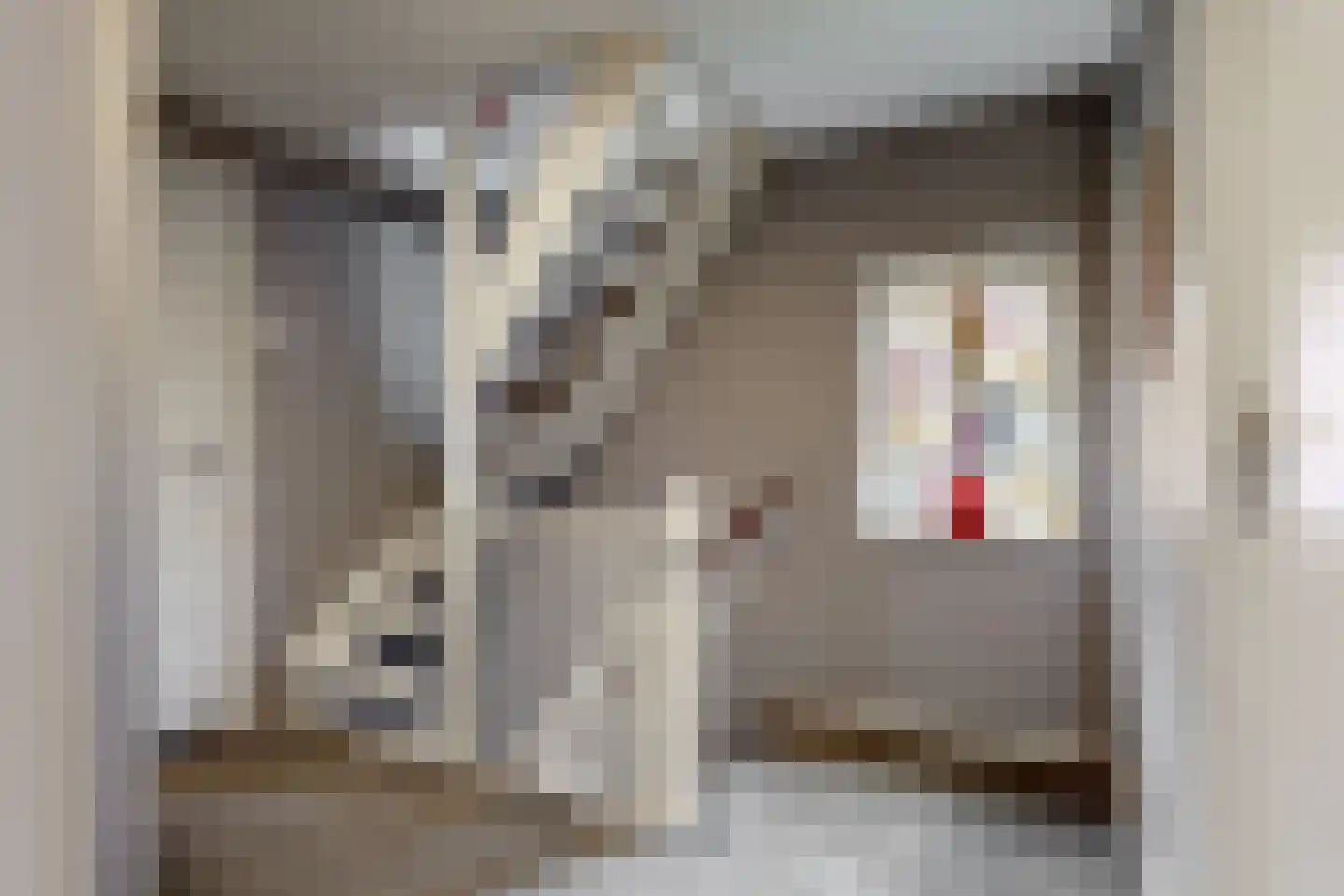 Scheeringlaan 7 Tiel thumbnail 32