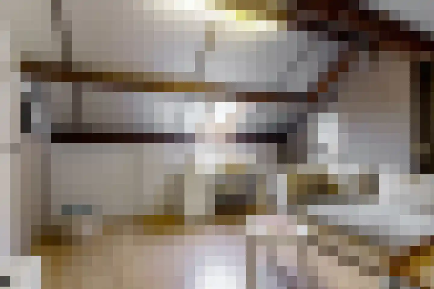 Scheeringlaan 7 Tiel thumbnail 35