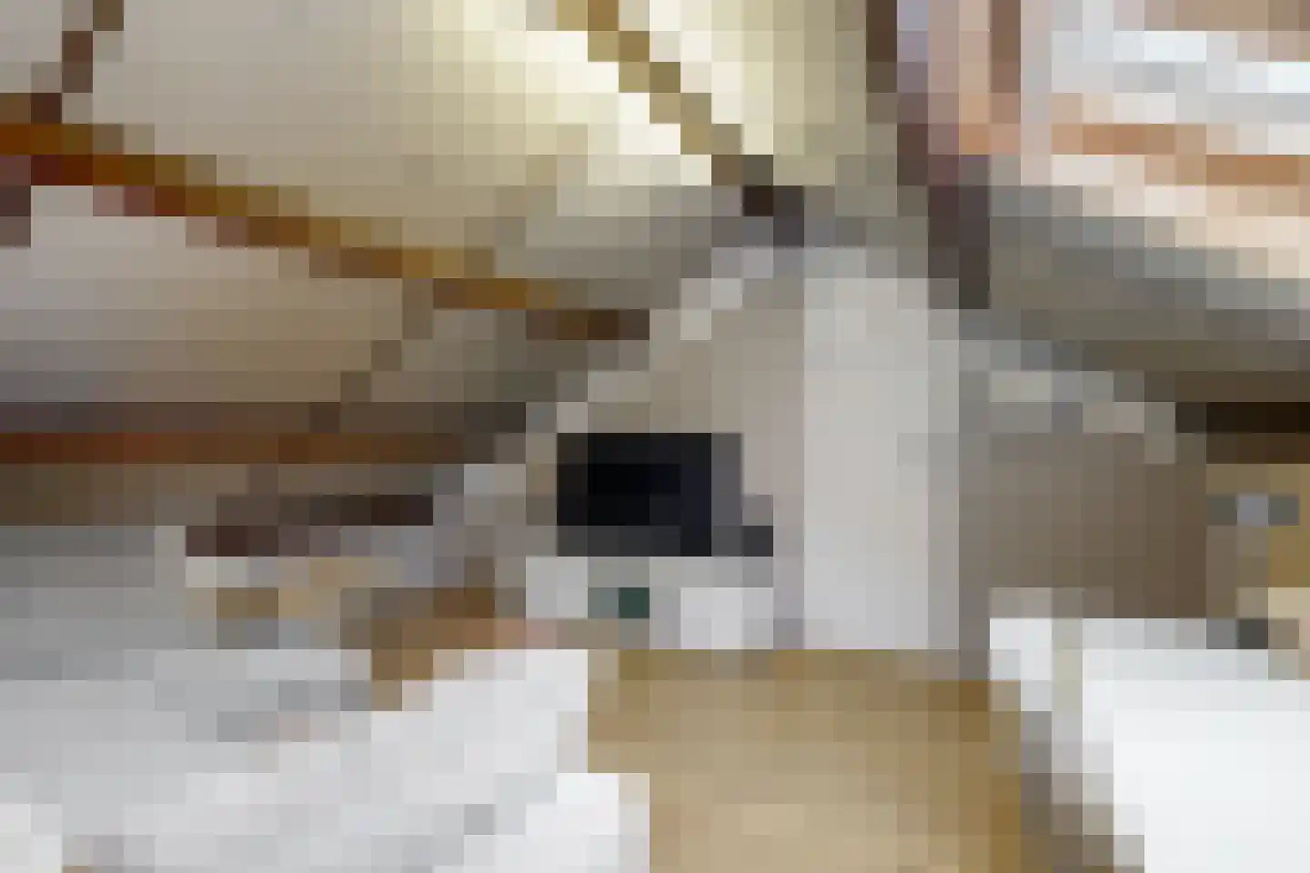 Scheeringlaan 7 Tiel thumbnail 36