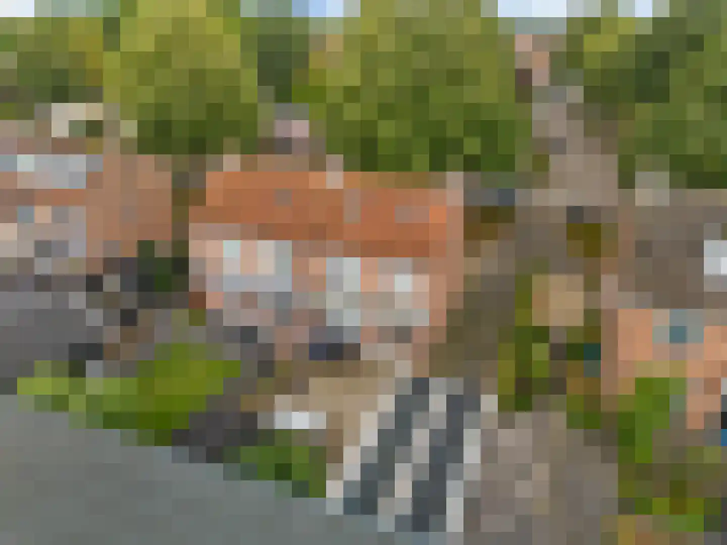 Scheeringlaan 7 Tiel thumbnail 4