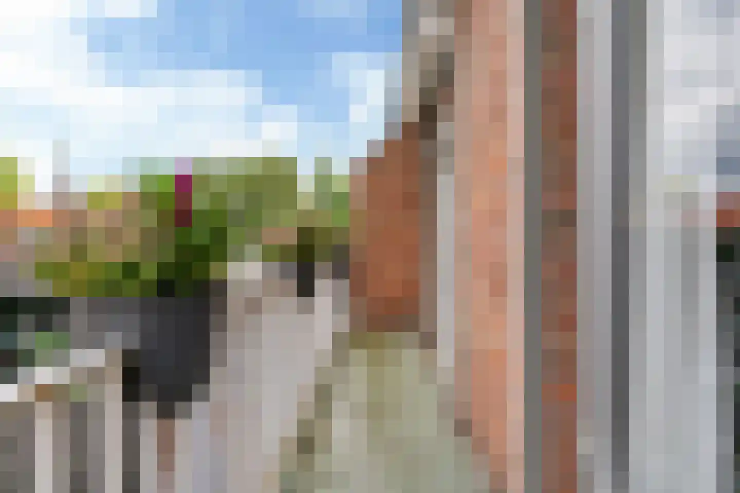 Scheeringlaan 7 Tiel thumbnail 44