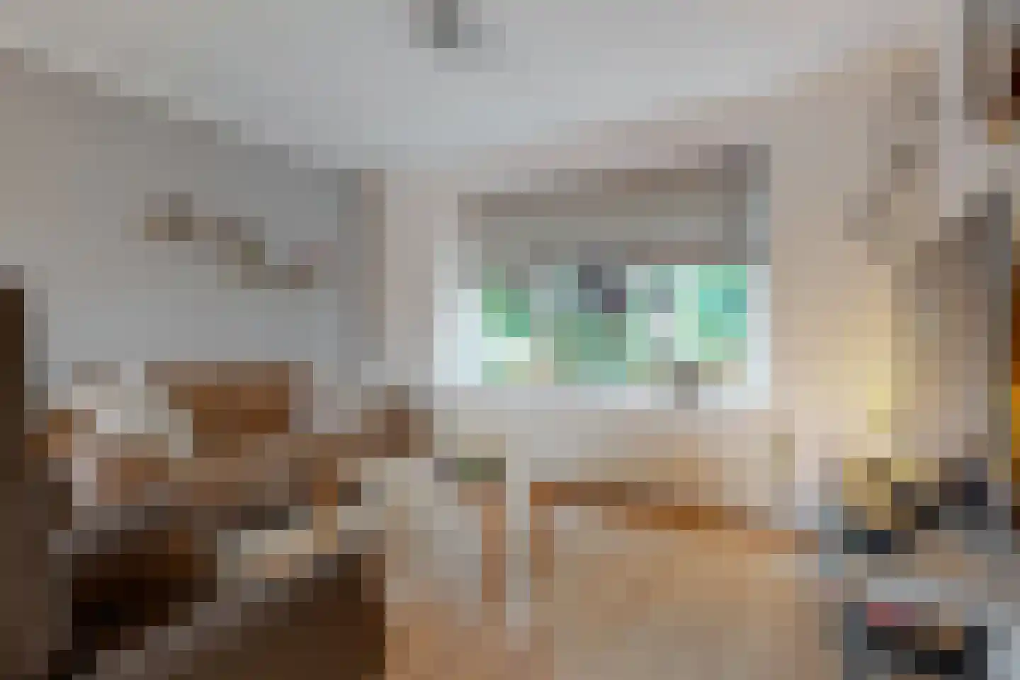 Scheeringlaan 7 Tiel thumbnail 6