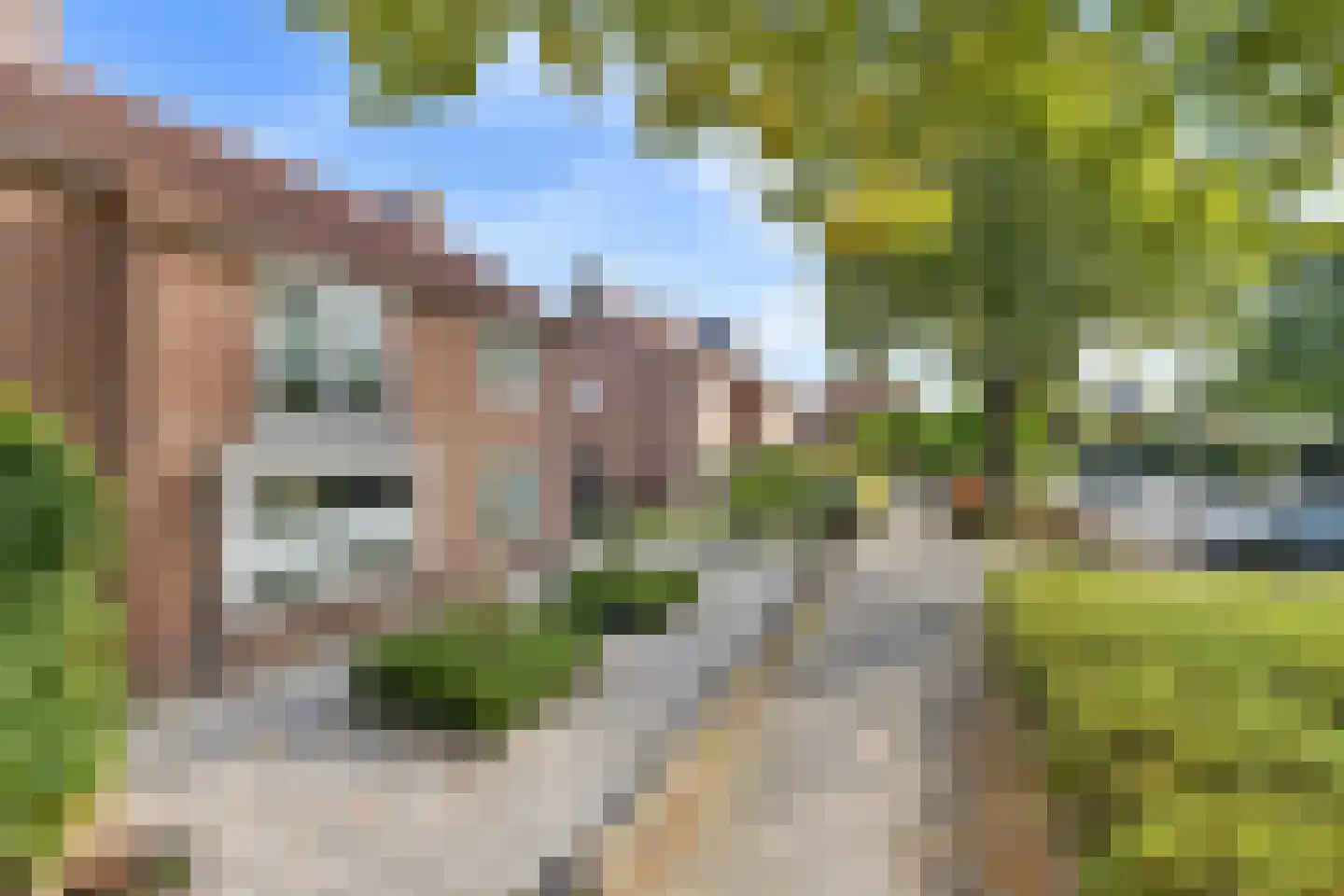 Scheeringlaan 9 Tiel thumbnail 10