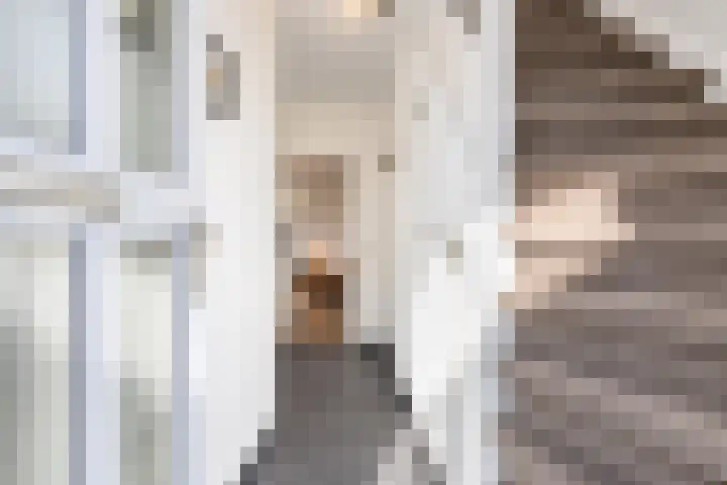 Scheeringlaan 9 Tiel thumbnail 13