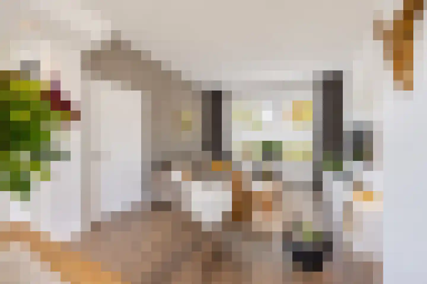 Scheeringlaan 9 Tiel thumbnail 17