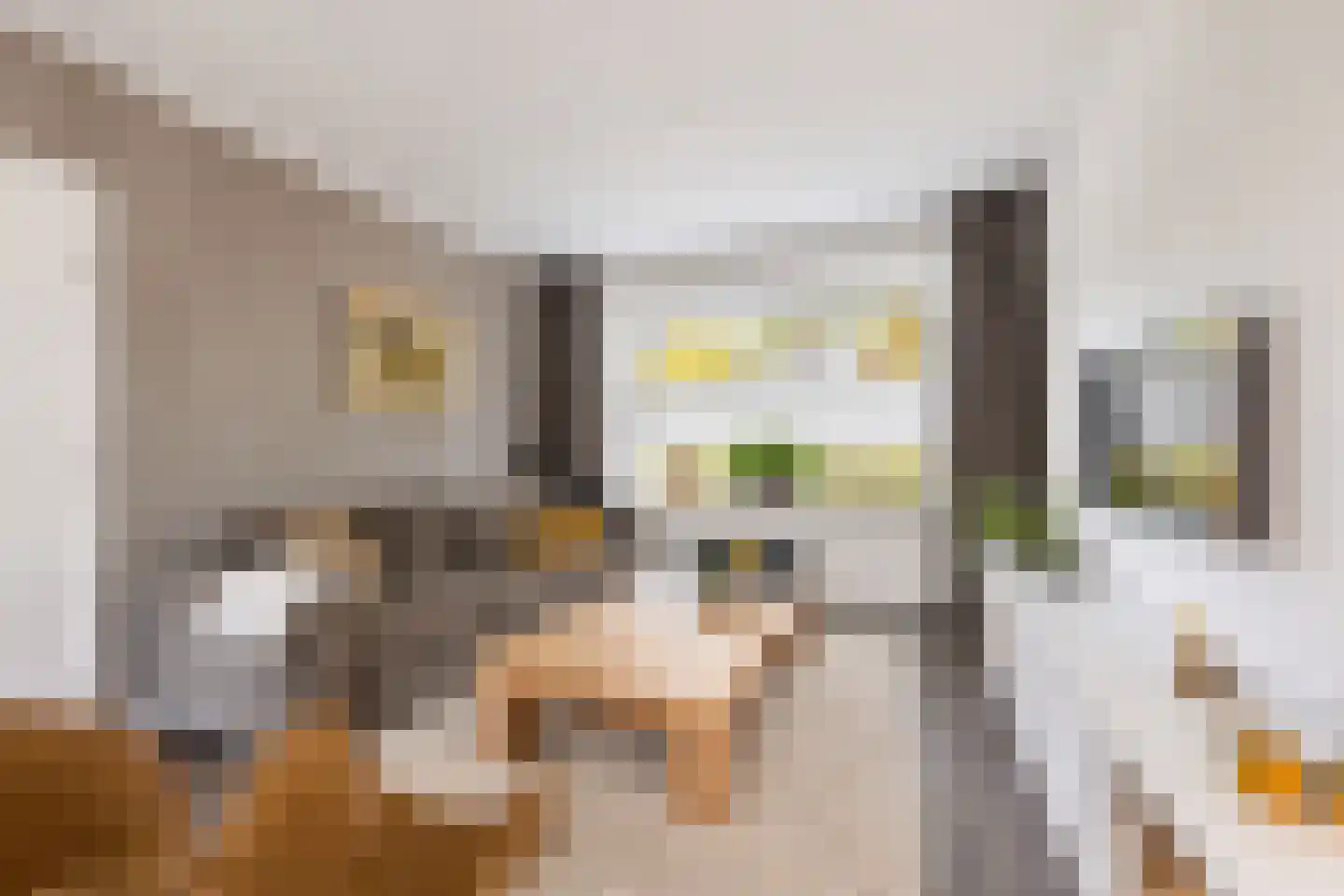 Scheeringlaan 9 Tiel thumbnail 18