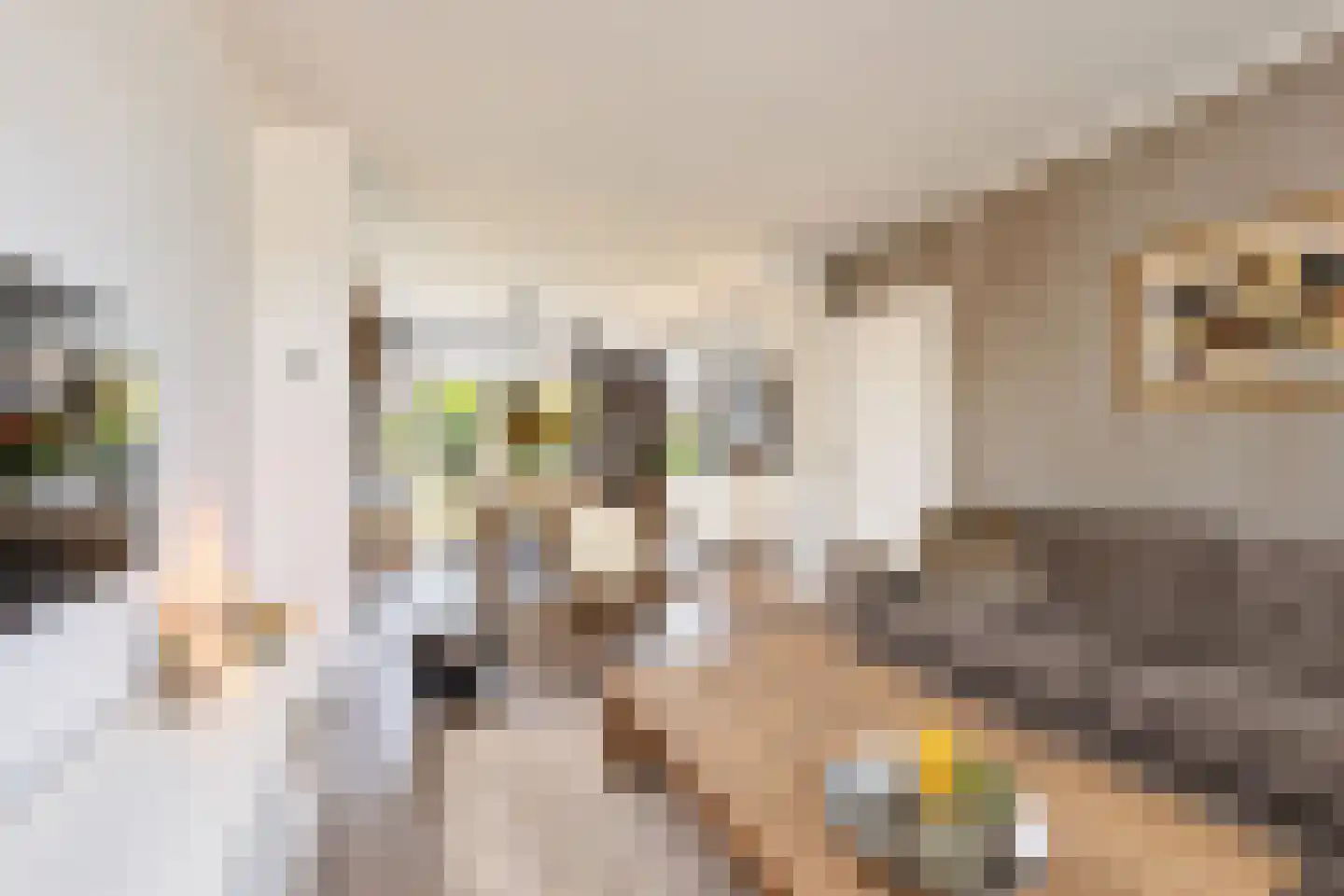 Scheeringlaan 9 Tiel thumbnail 20
